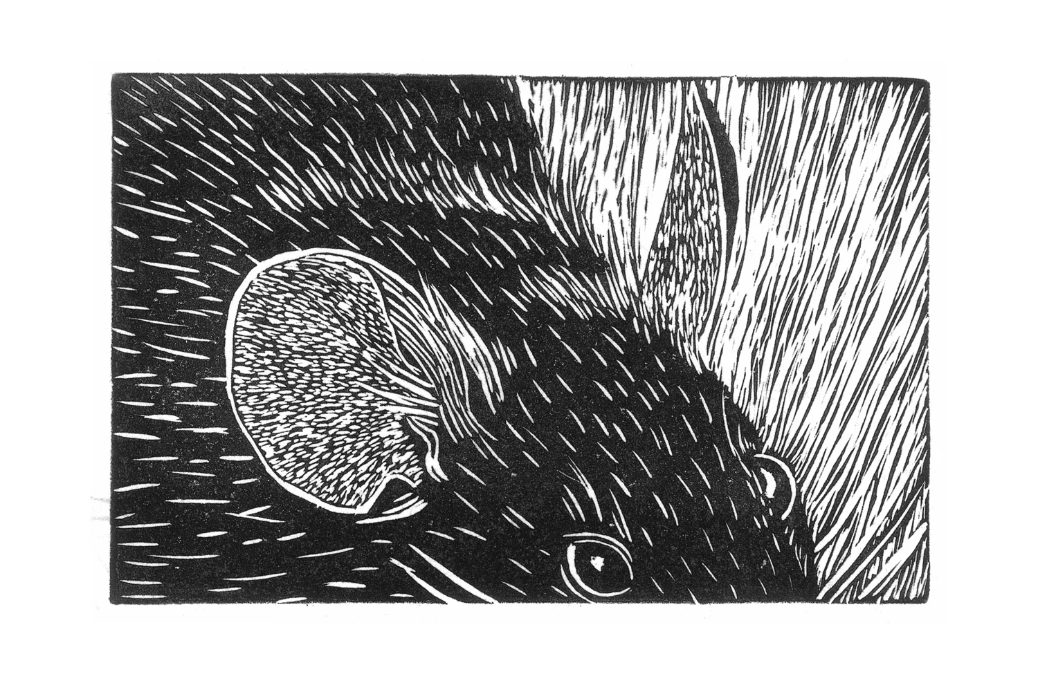 2014 Linocut on rag paper 5.75 x 9.5"