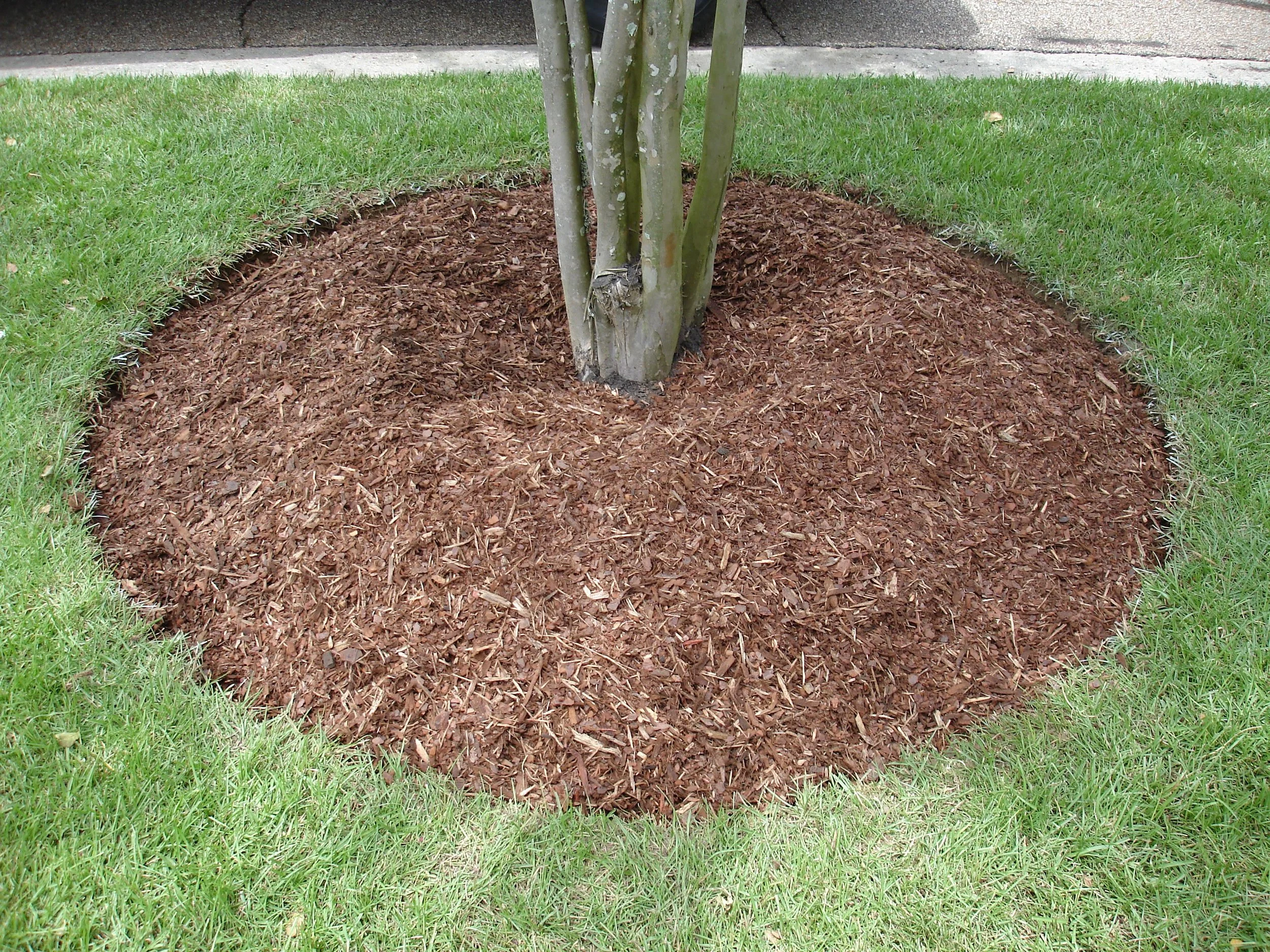 Mulch Your Way to a Better Landscape — Lawn Care, Mulch, Pruning
