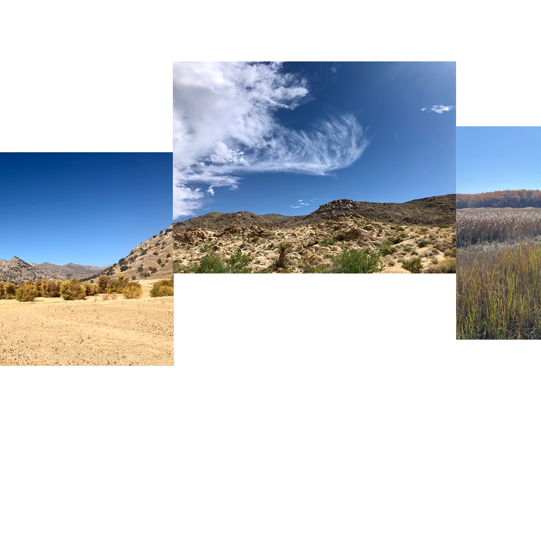 Infinity-Scape_11v2.png