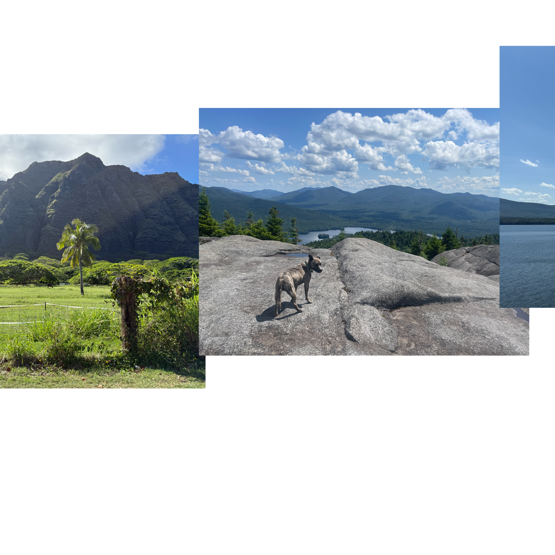 Infinity-Scape_16.png