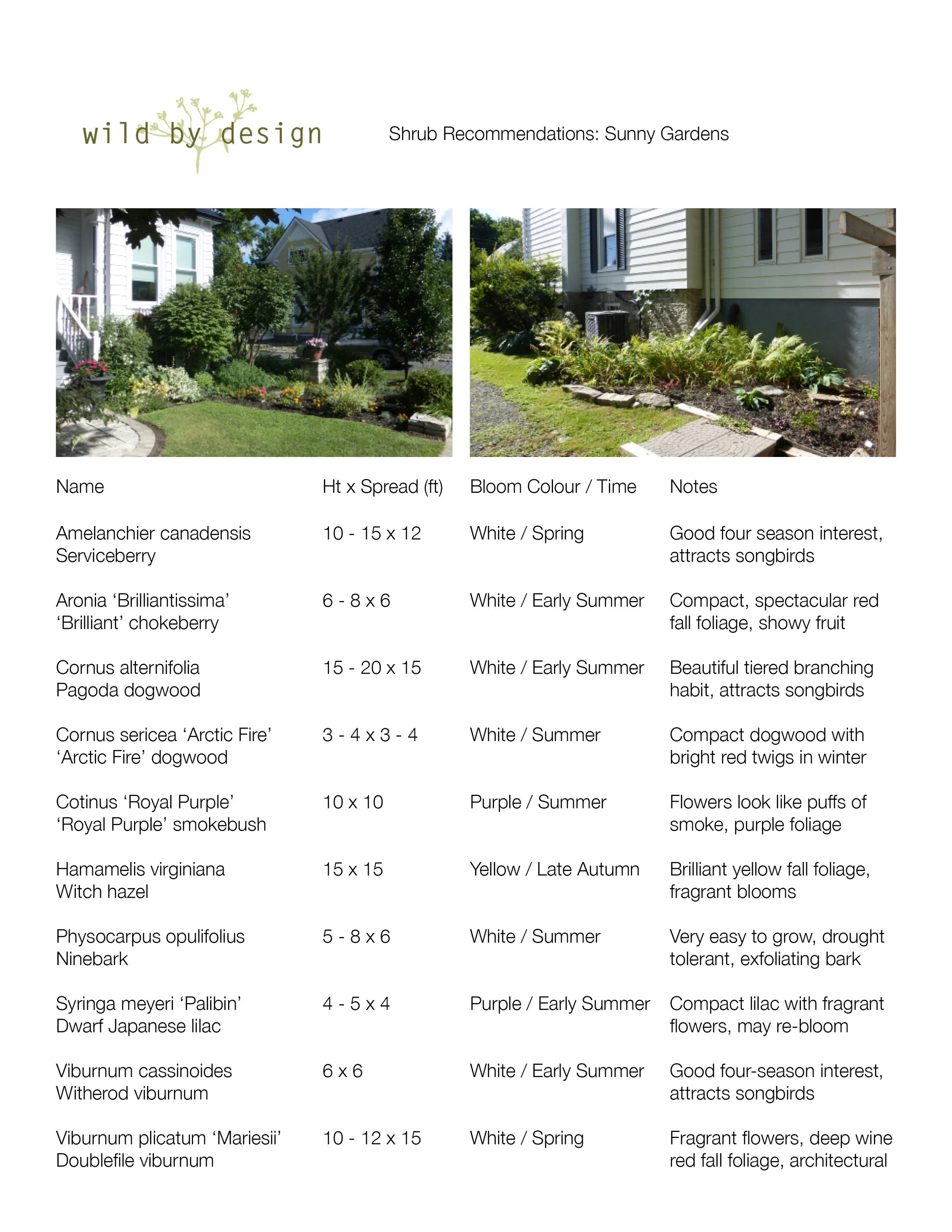 landscape plan - wexler.jpg