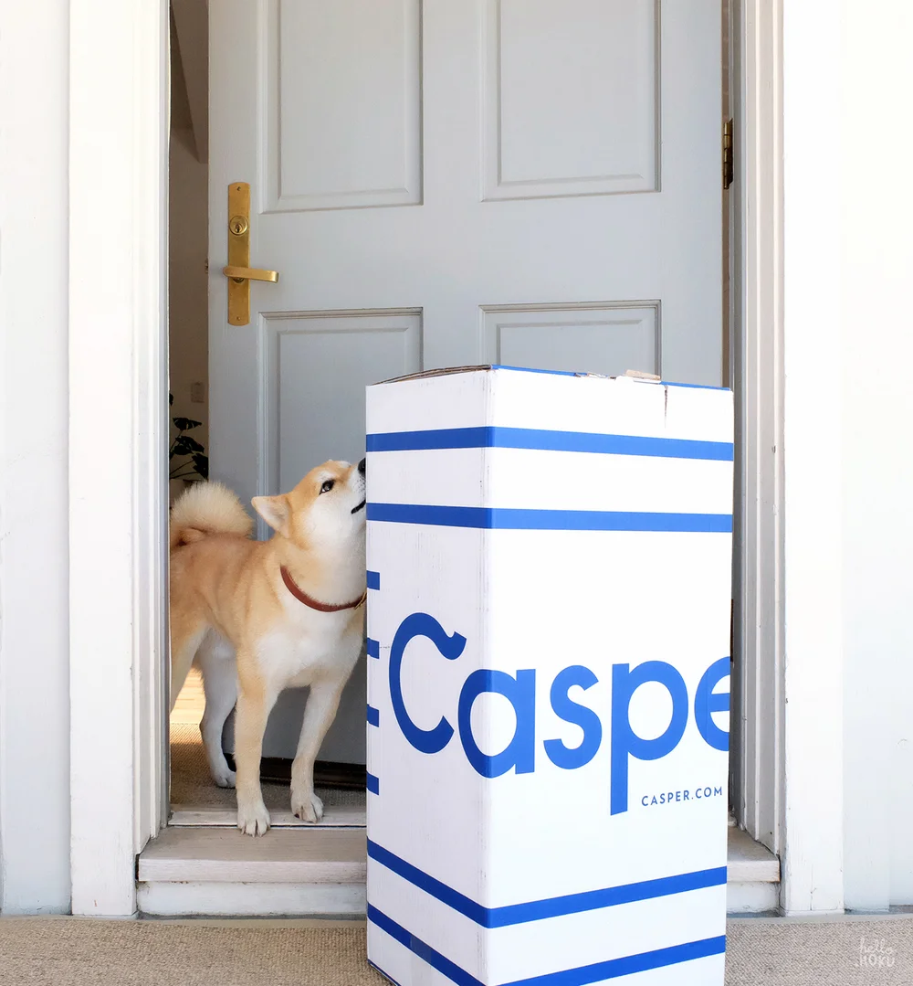 Sweet Dreams With Casper Hello Hoku