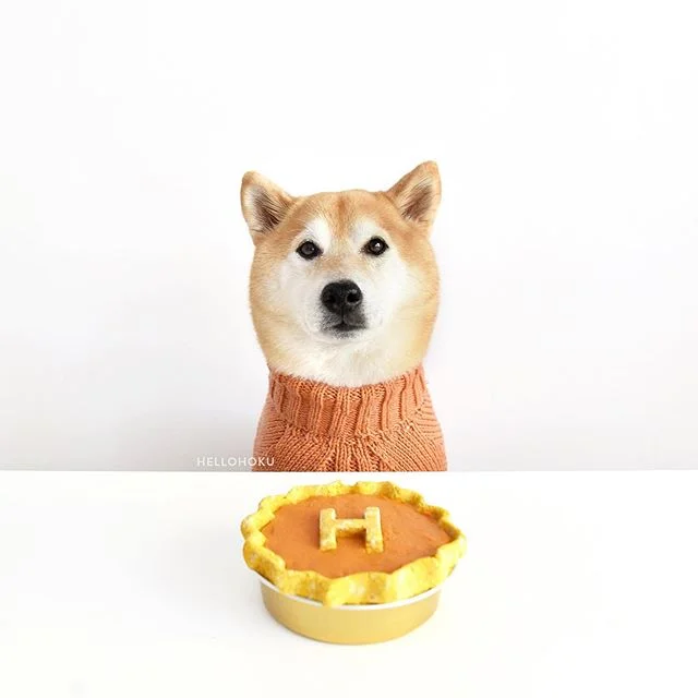 No pants > stretchy pants. Happy Thanksgiving, friends!