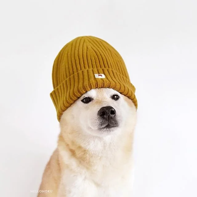 Baby, it&rsquo;s cooooold ouuuuutsiiiiiide 🎶