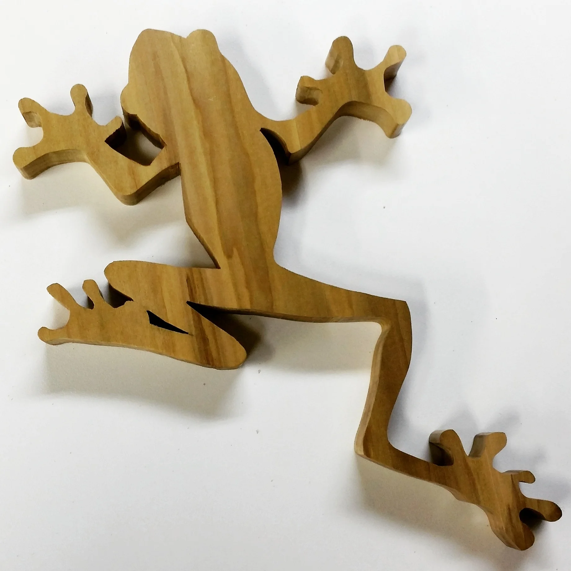 Tree Frog Wall Art