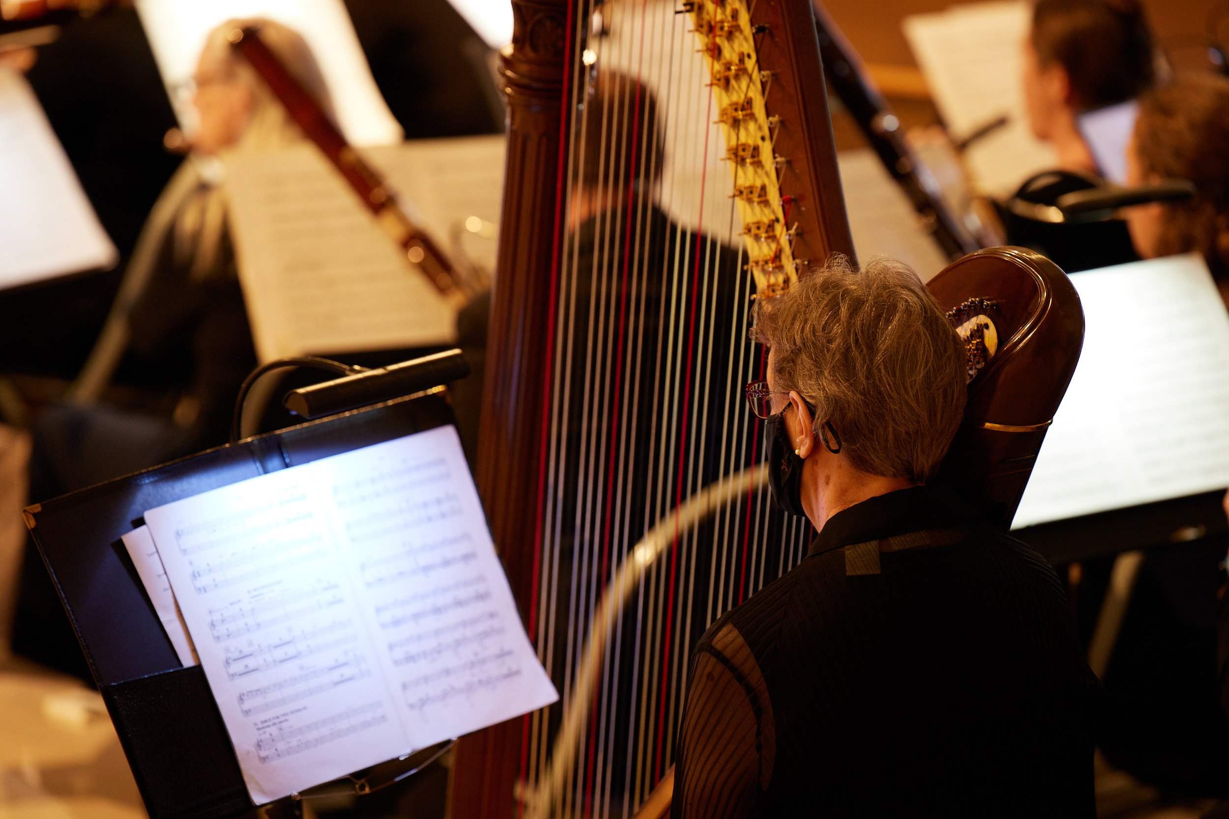 Meredith Mancini, harp