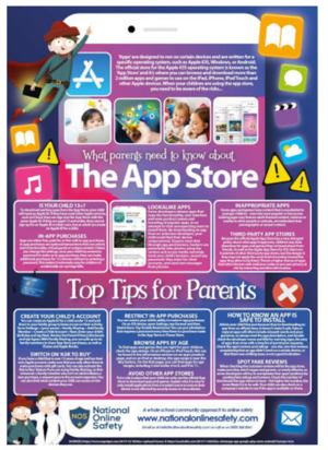 Top tips for parents cyber safety flyer