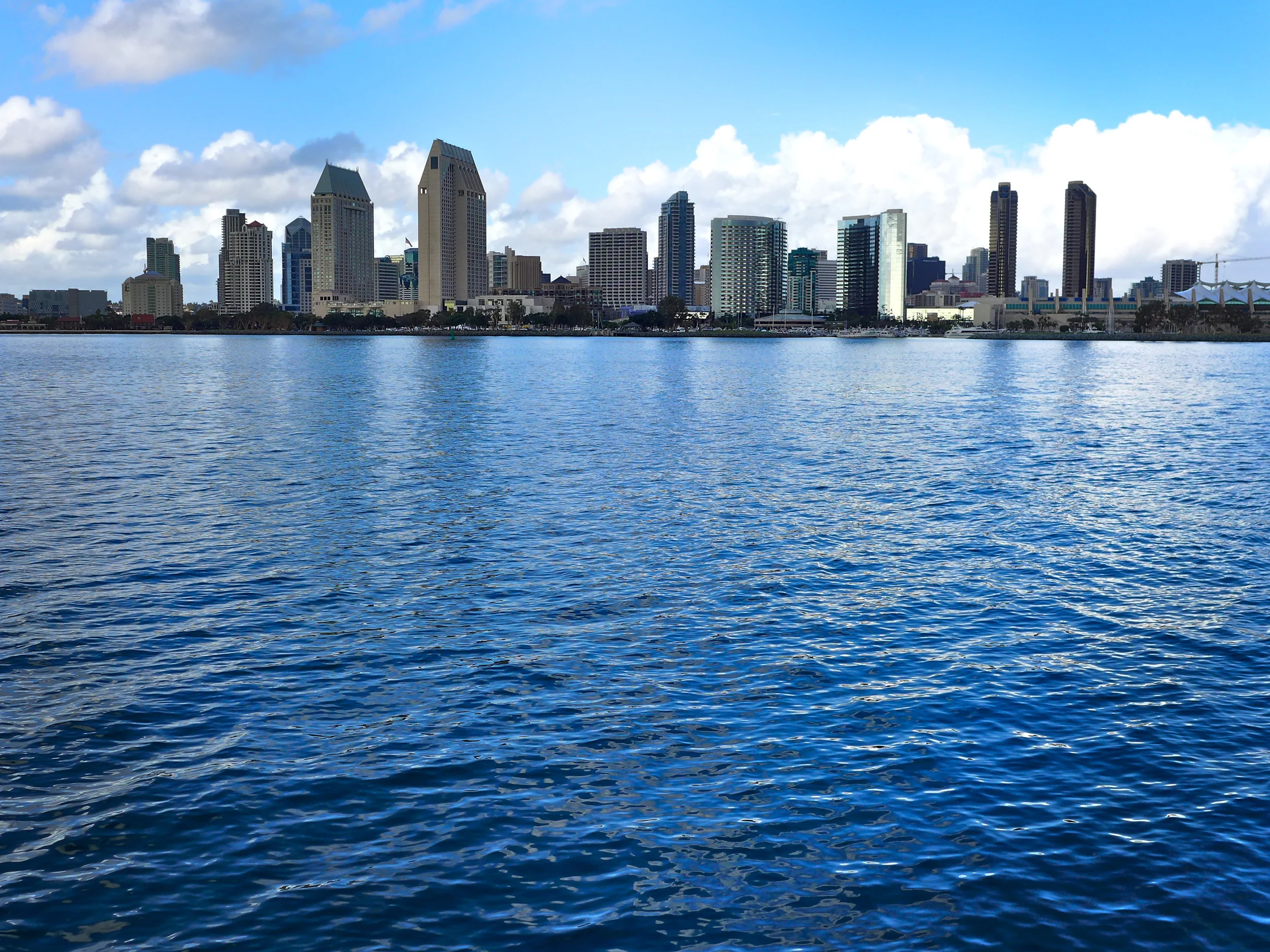 San Diego for 1-800 Flowers