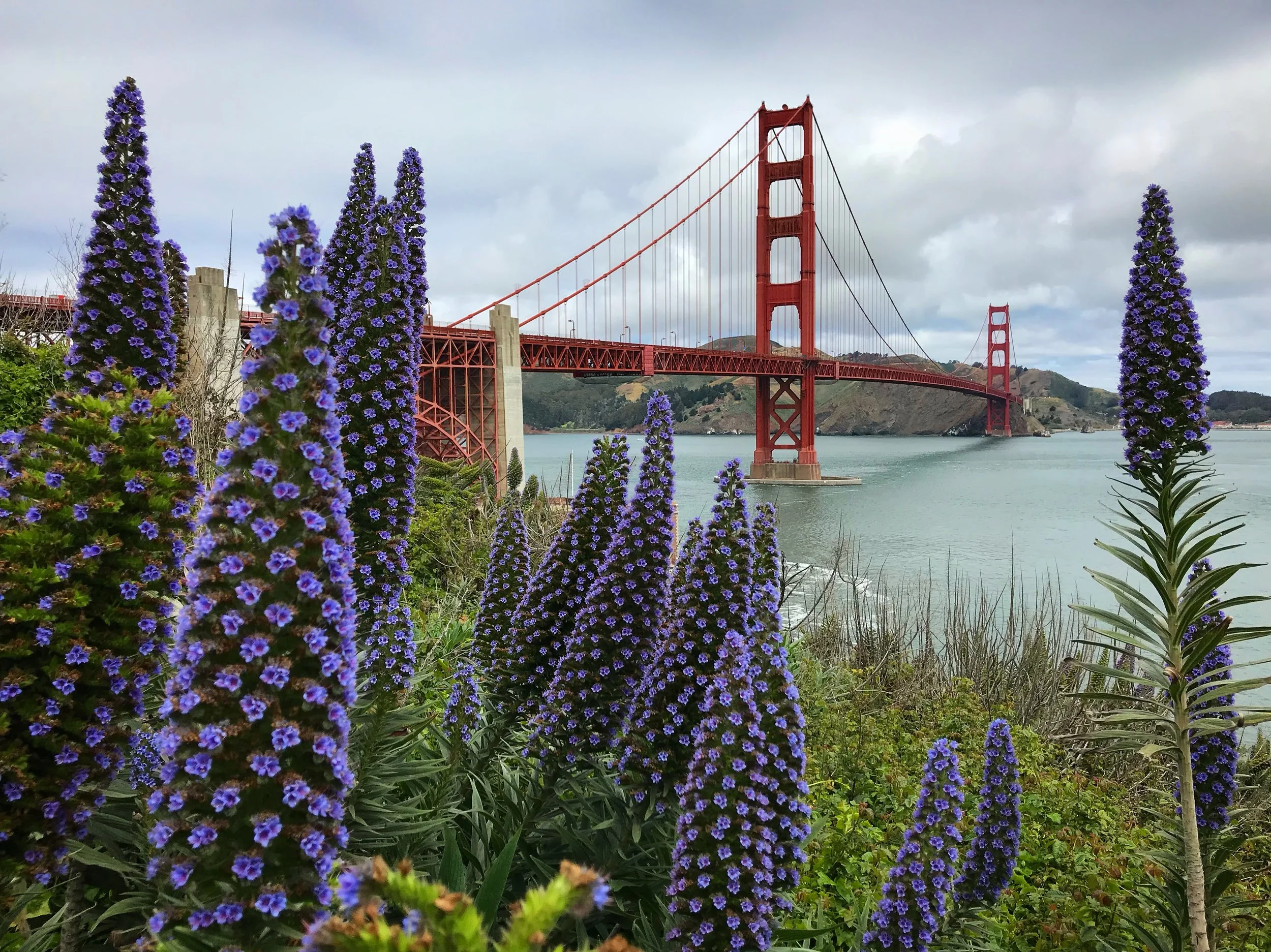 Golden Gate Bridge San Francisco