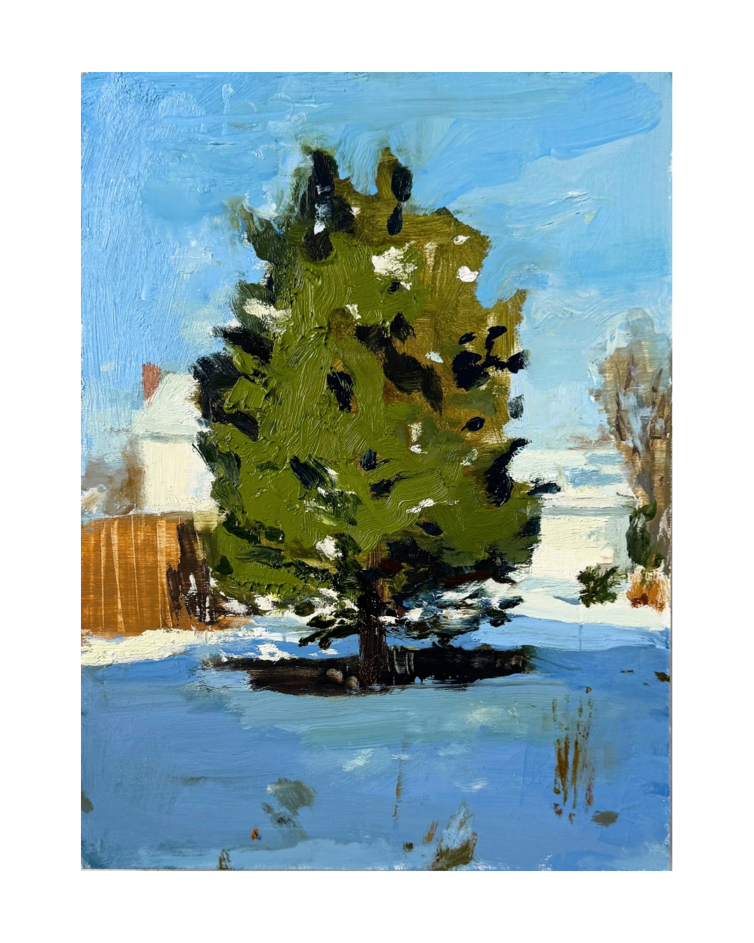 Suburb Spruce