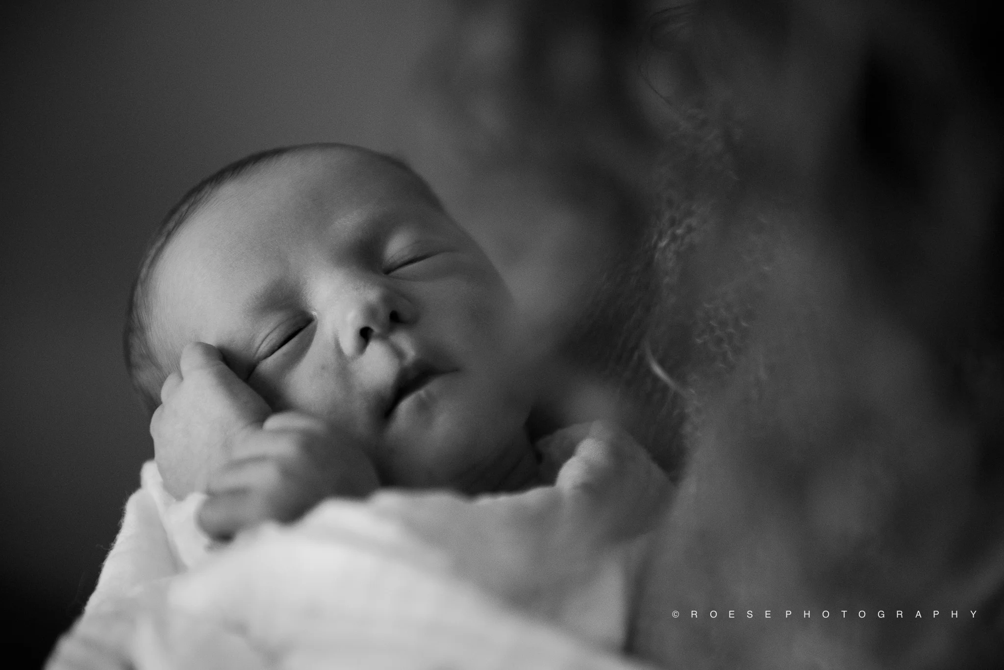 C.-Roese-Ramp-Roese-Photography-LLC_Park-Family2016-1.jpg