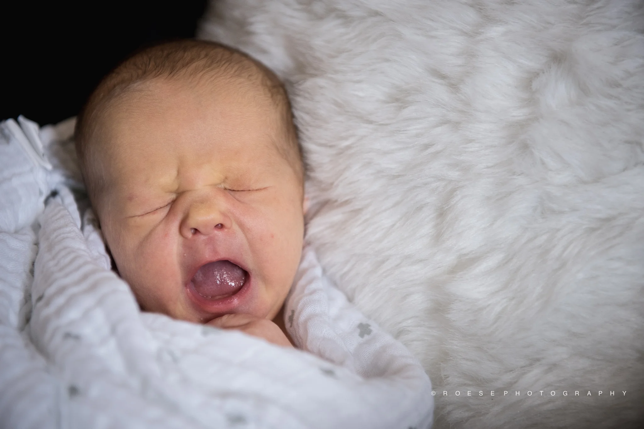 C.-Roese-Ramp-Roese-Photography-LLC_Park-Family2016-2.jpg