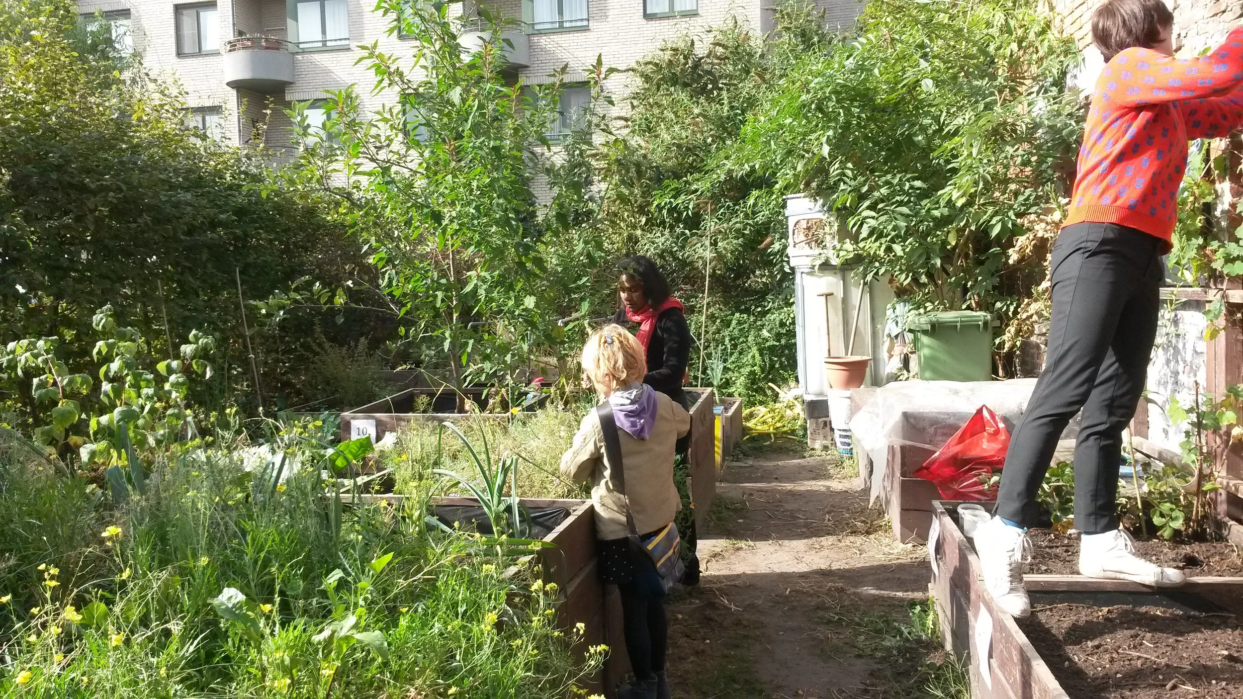 2016-10-02 12.01.18.jpg