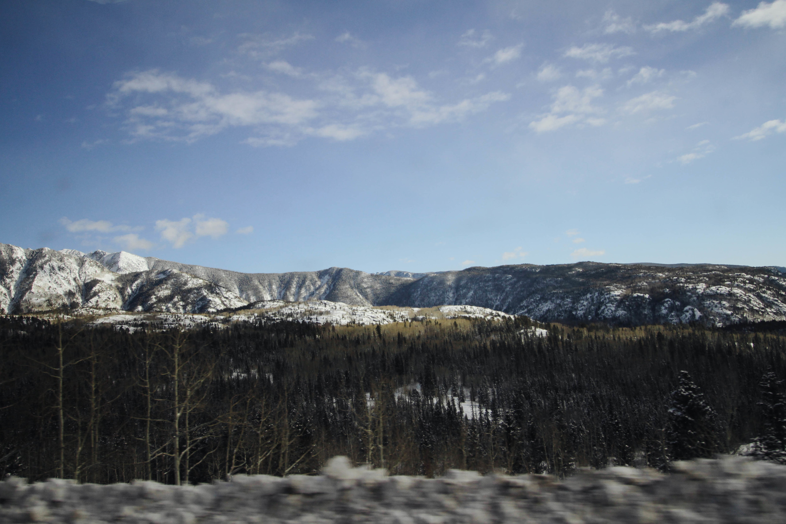 IMG_7870.jpg