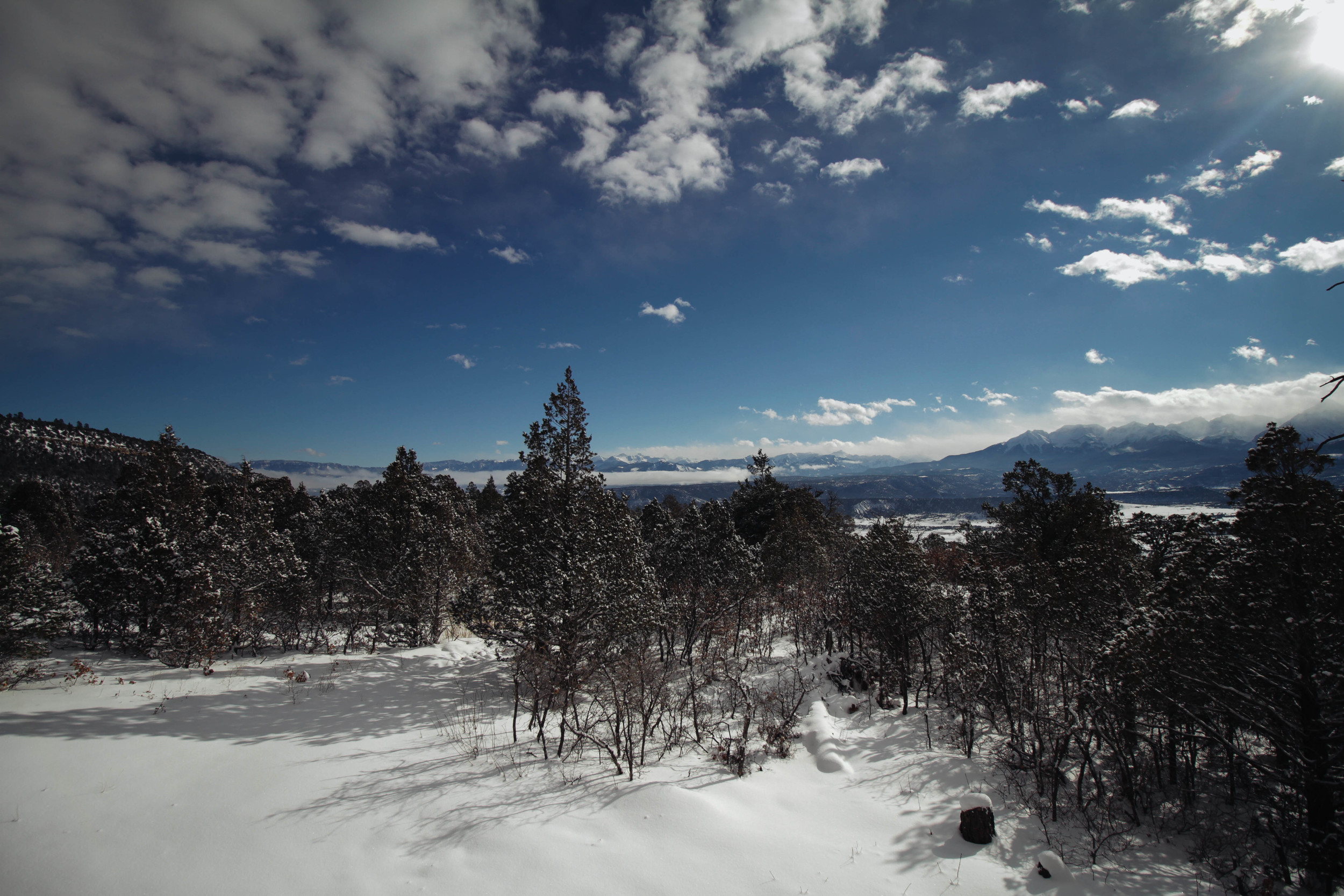 IMG_7959.jpg