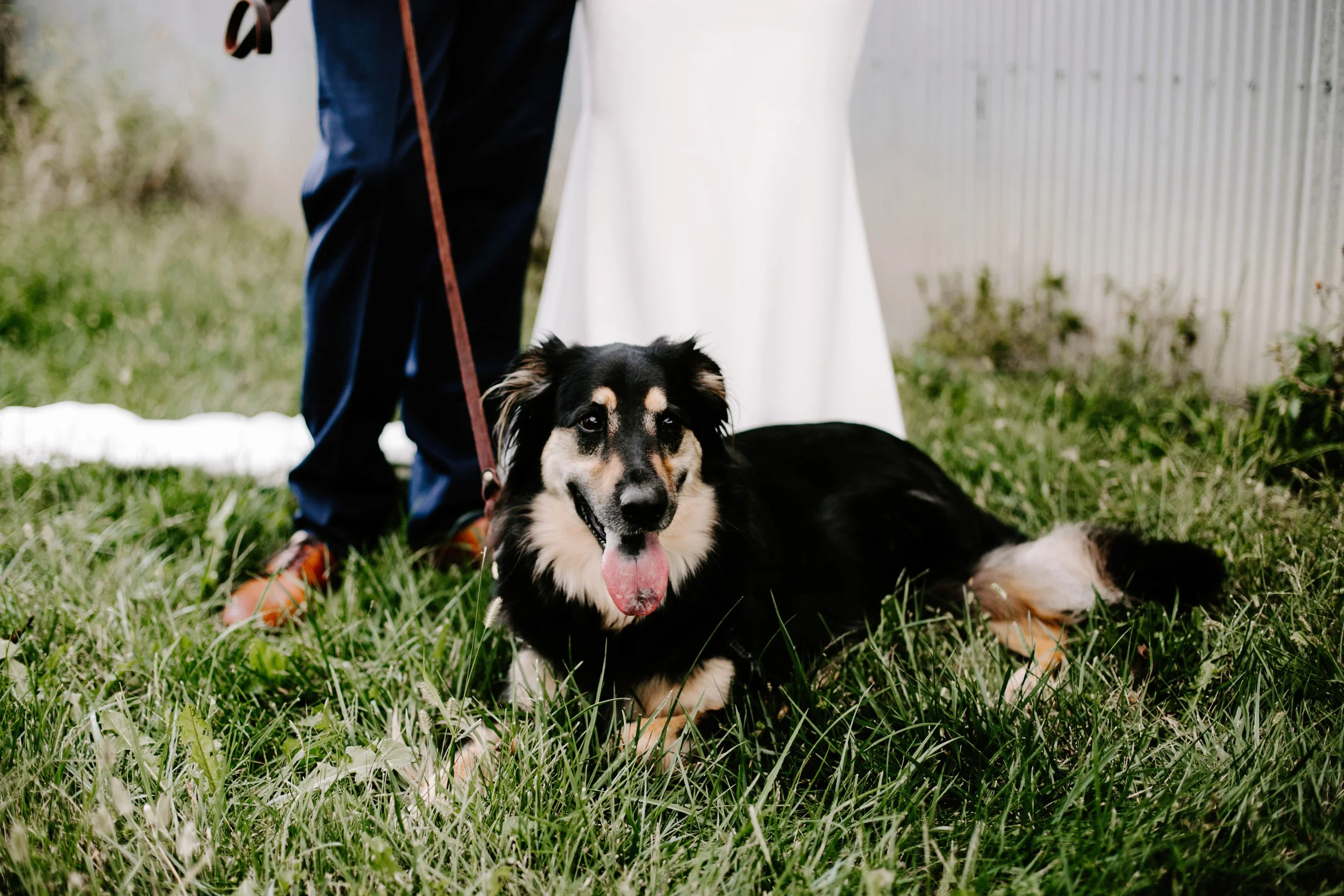 Gwen and Andy Traders Point Hunting Club Wedding in Zionsville Indiana by Emily Elyse Wehner Photography LLC-317.jpg