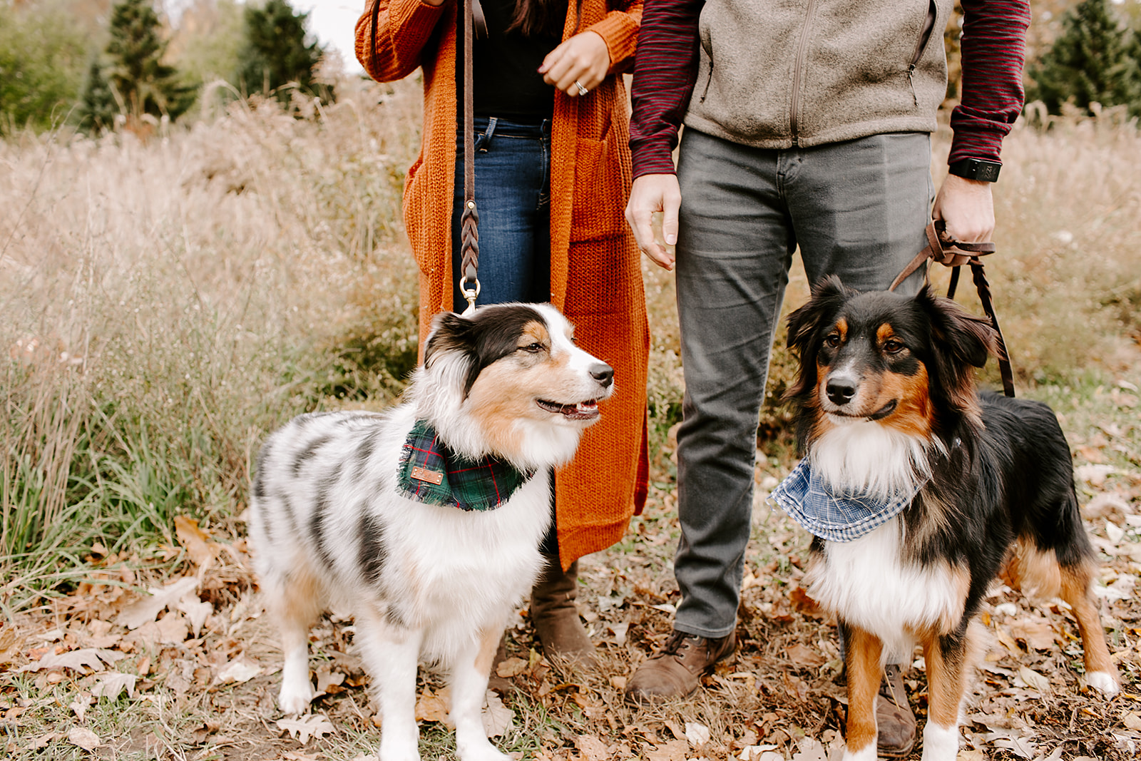 Slonaker Family Fall Mini Session Holliday Park by Emily Elyse Wehner Photography LLC-38.jpg