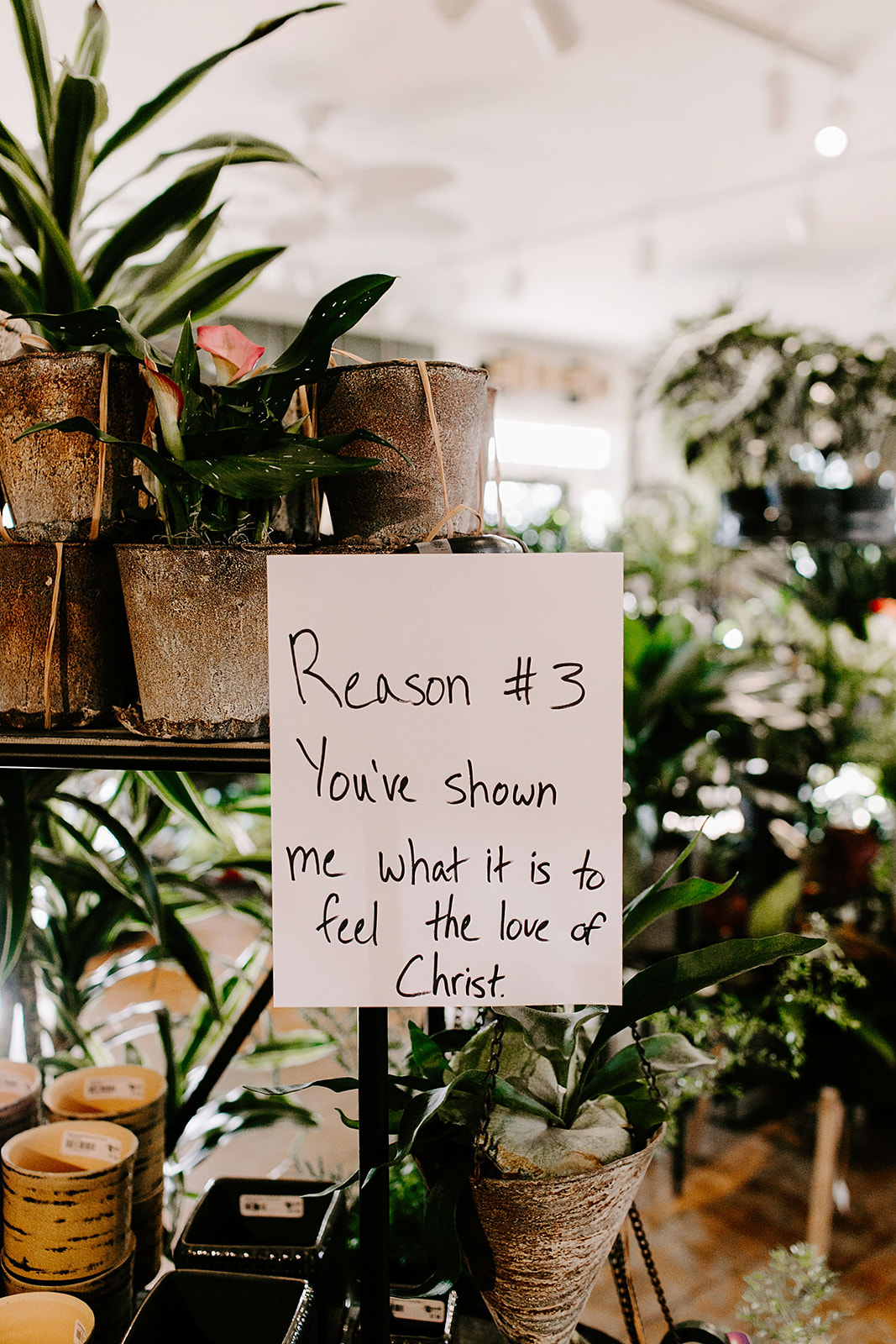 Lindy and JT Proposal at Allisonville Nursery in Indianapolis Indiana by Emily Elyse Wehner Photography LLC-7.jpg