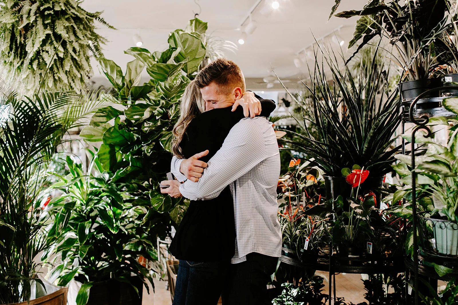 Lindy And Jt Proposal At Allisonville Garden Home In Lindy And Jt Proposal At Allisonville