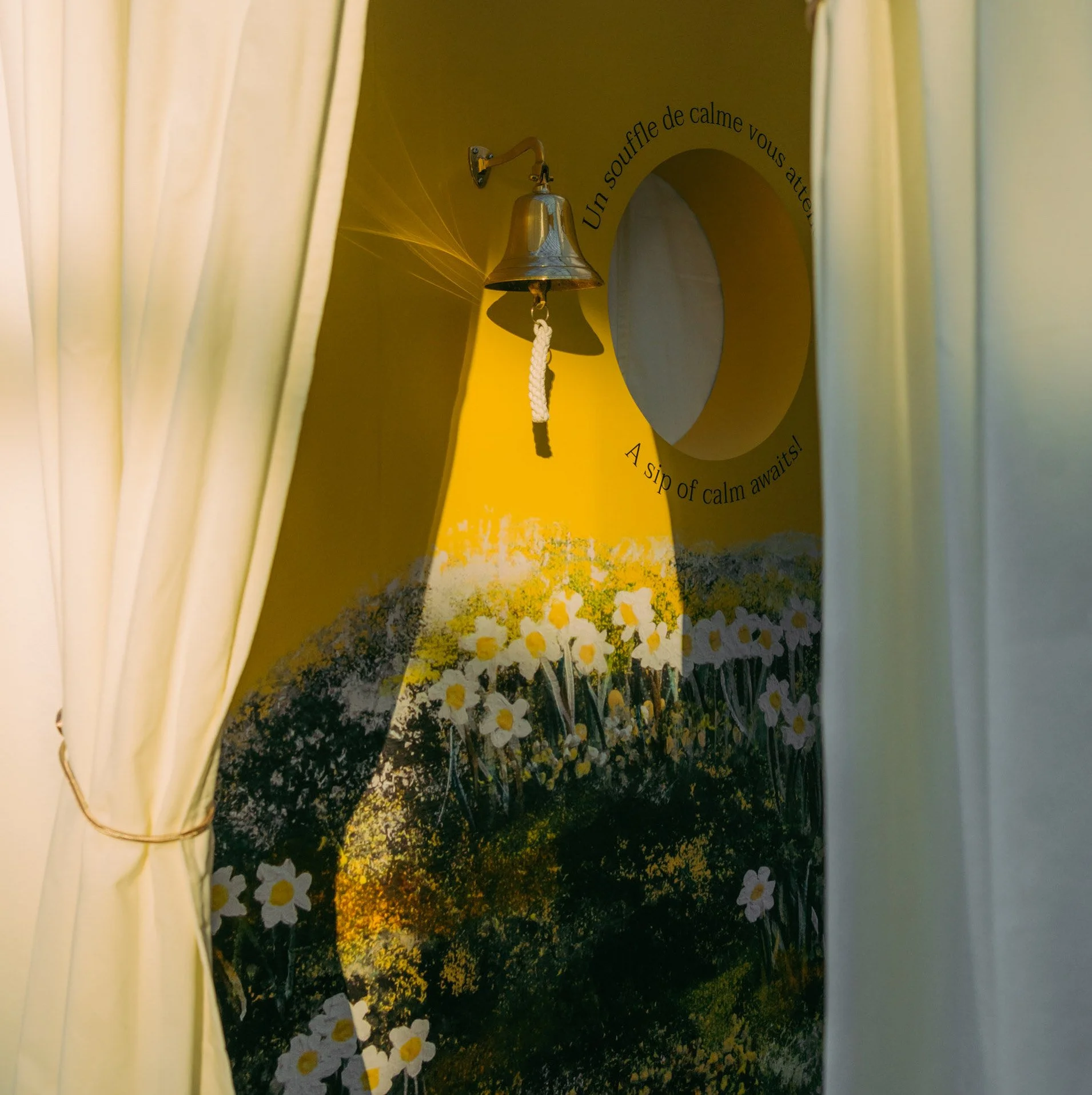 Le champ de Camomille