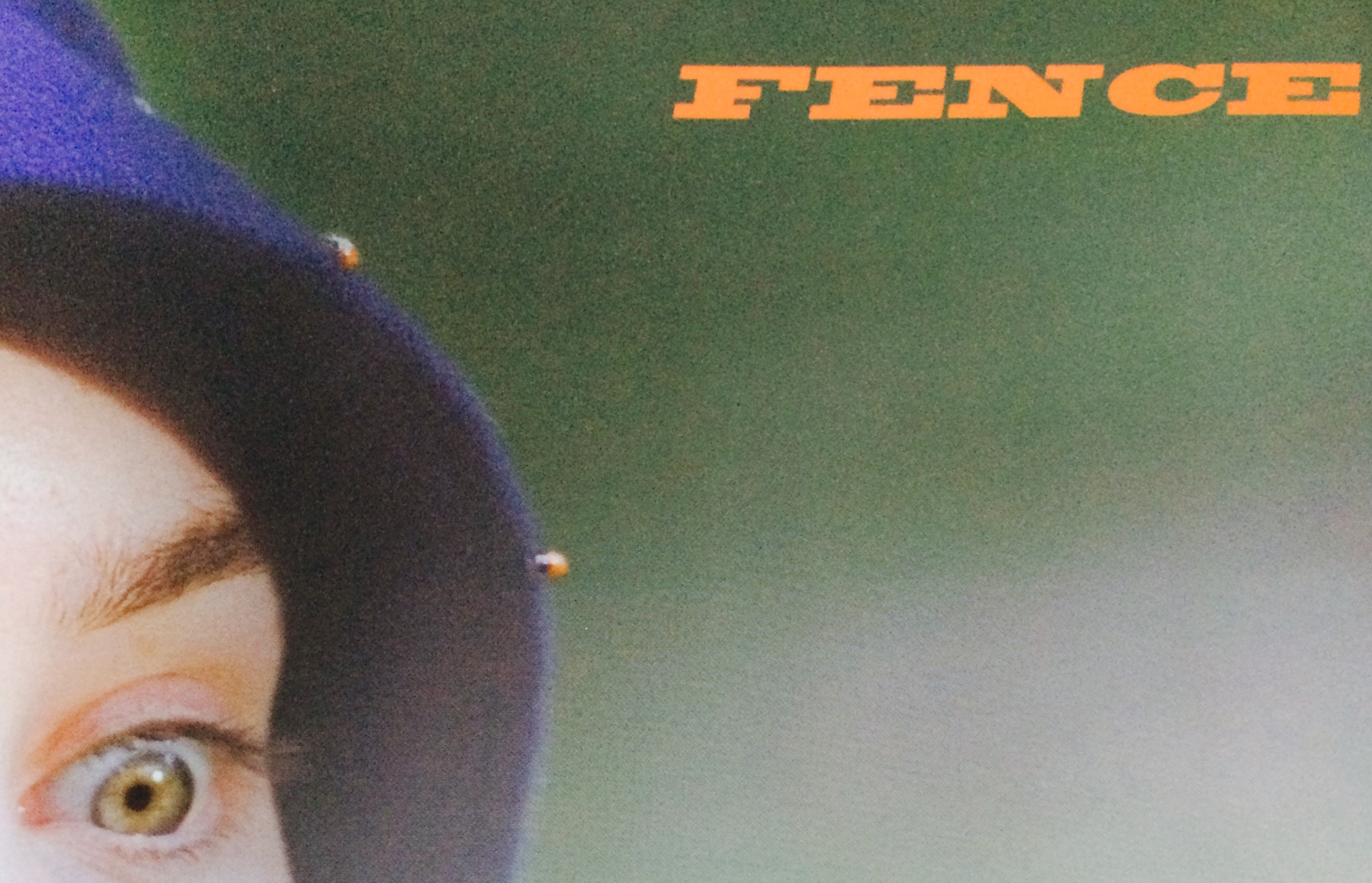2011: Fence