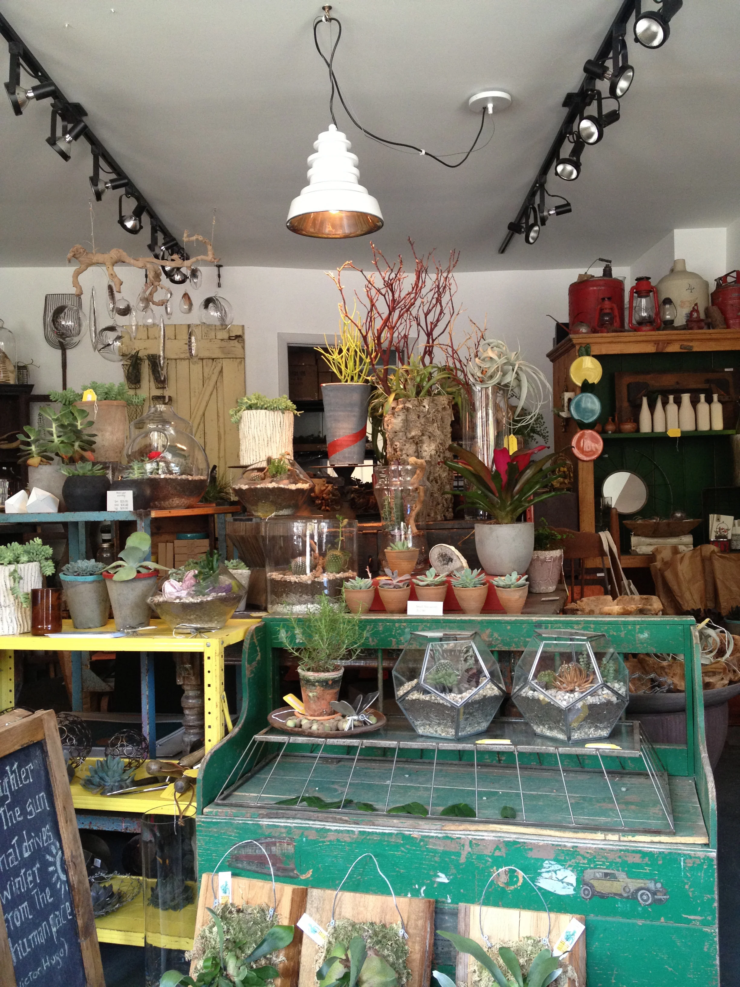 Alapash Home & Terrariums