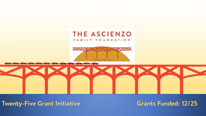 25 Grant Initiative Update
