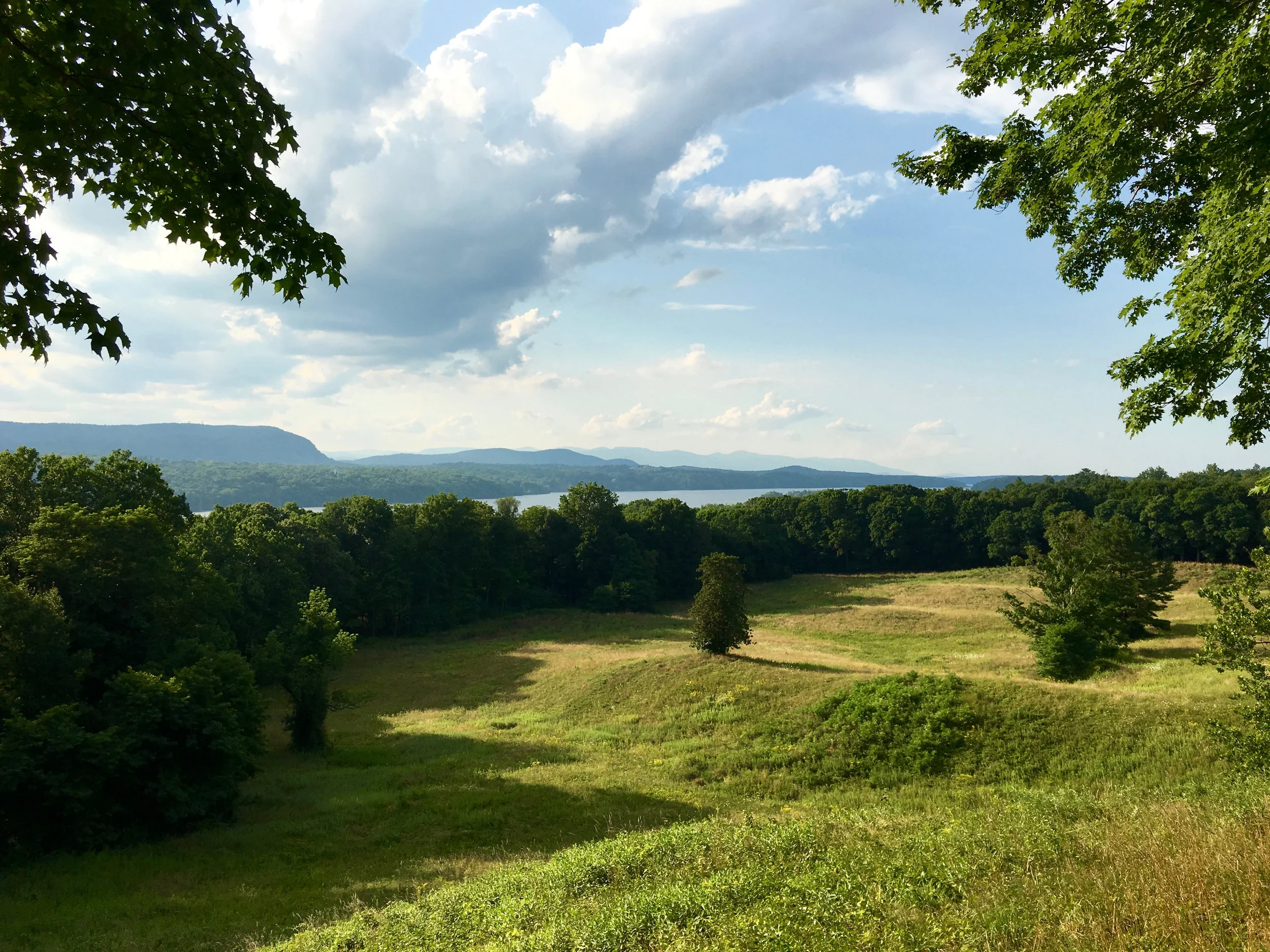 Our Team’s Reflections on Five Years of Grantmaking