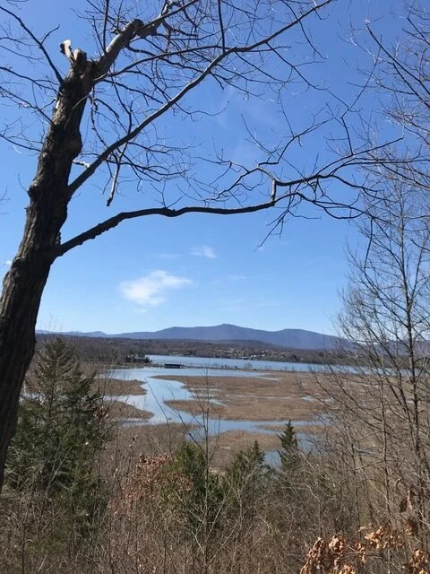 Ambassadors help their communities with mini grants