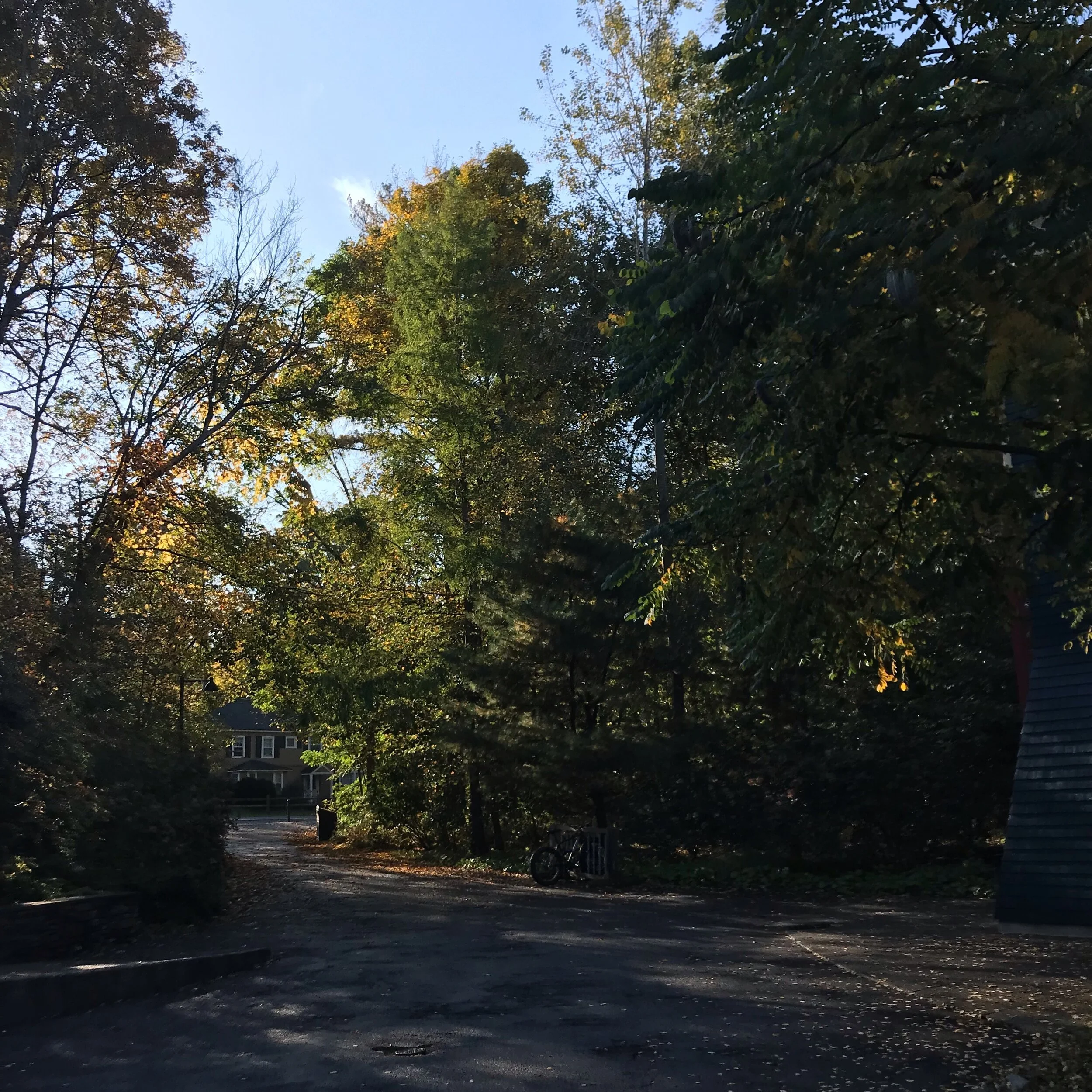 Summer Updates from the AFF!