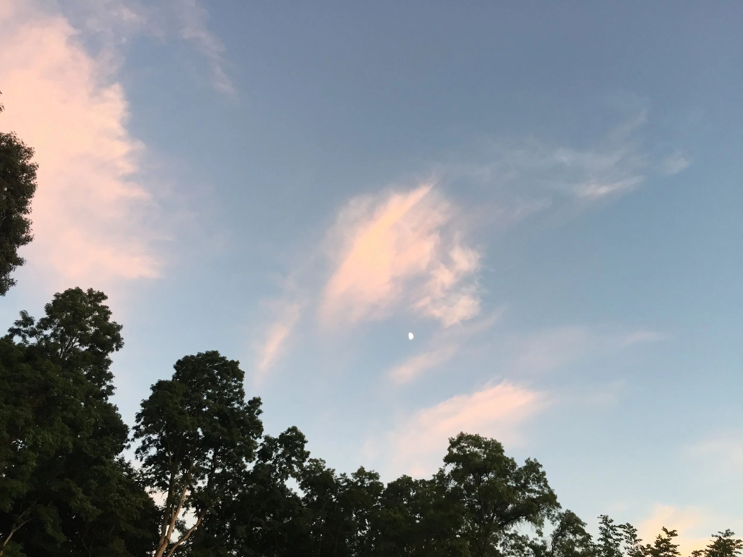 Fall Note from the Directors