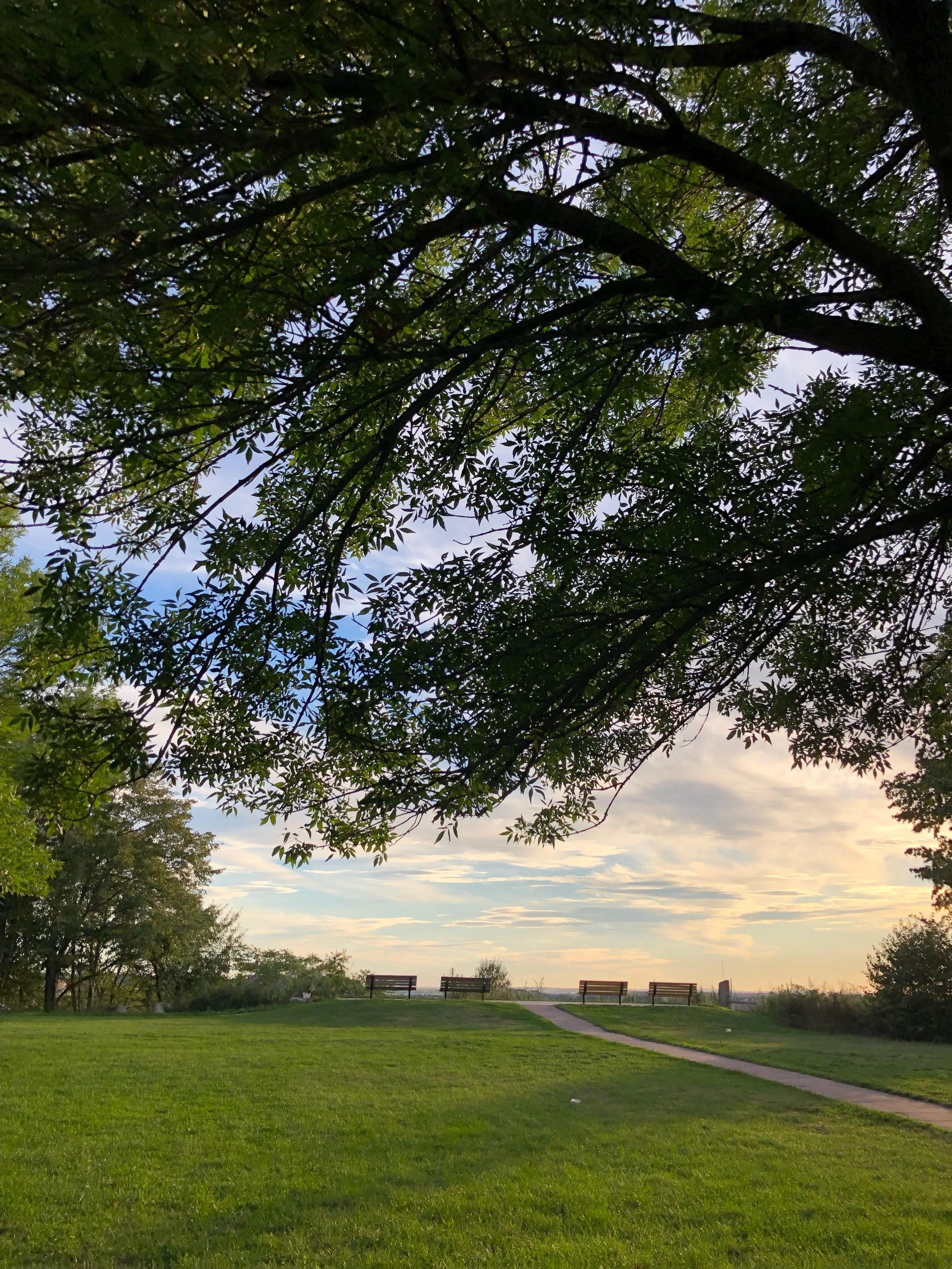 Local Grants and Happenings