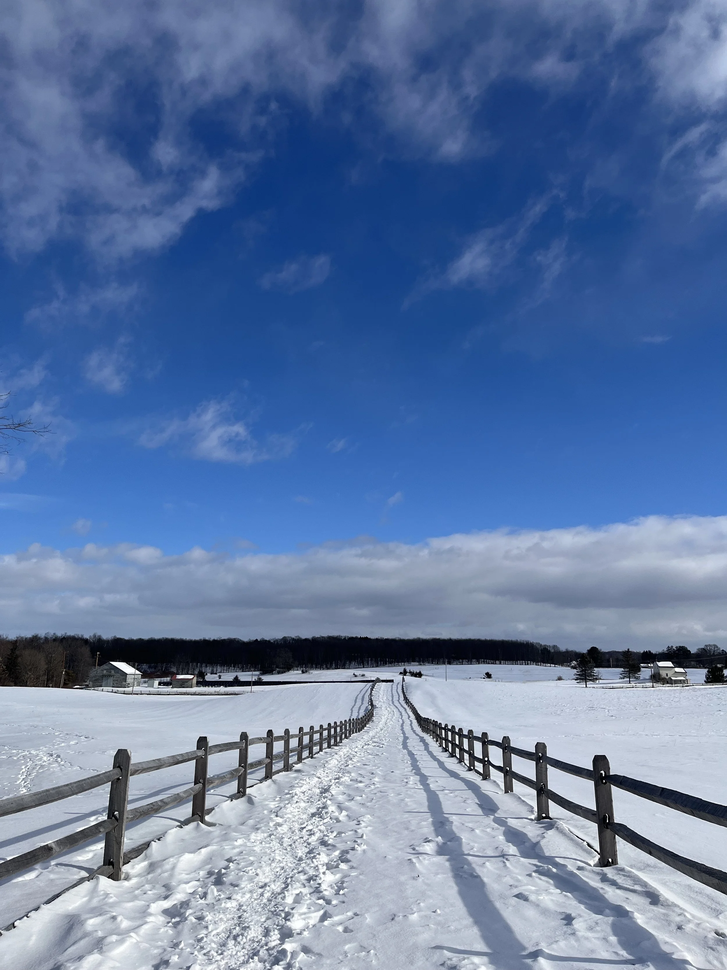 Entering our 12th Year of Giving