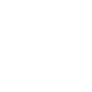 product_0008_Pallet-Cover.png