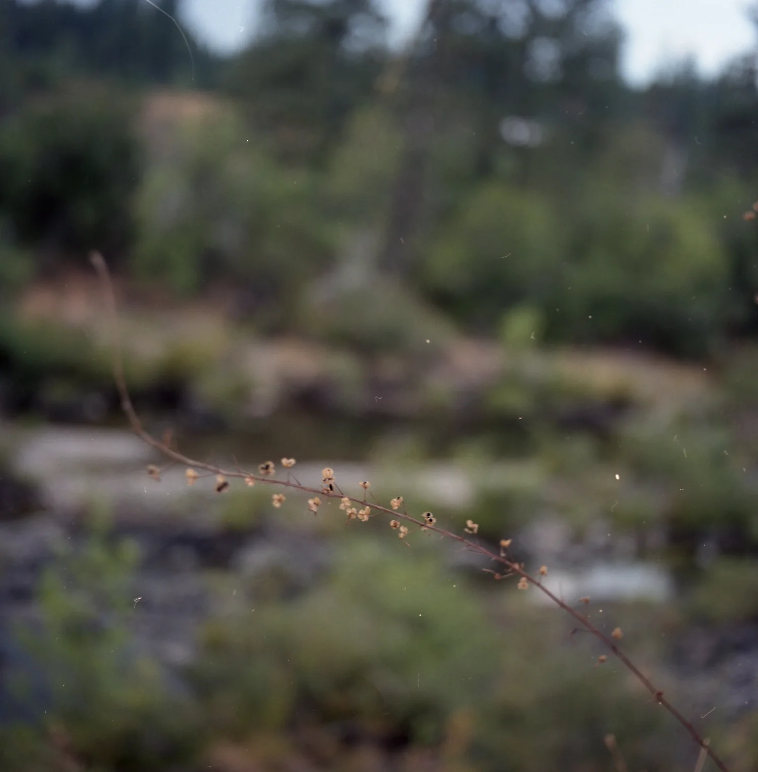 Northern California, 2014