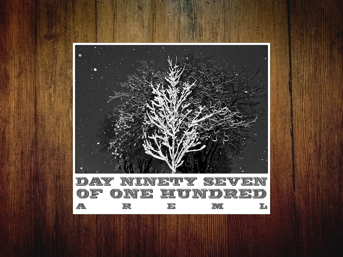 100 days woody 097.jpg