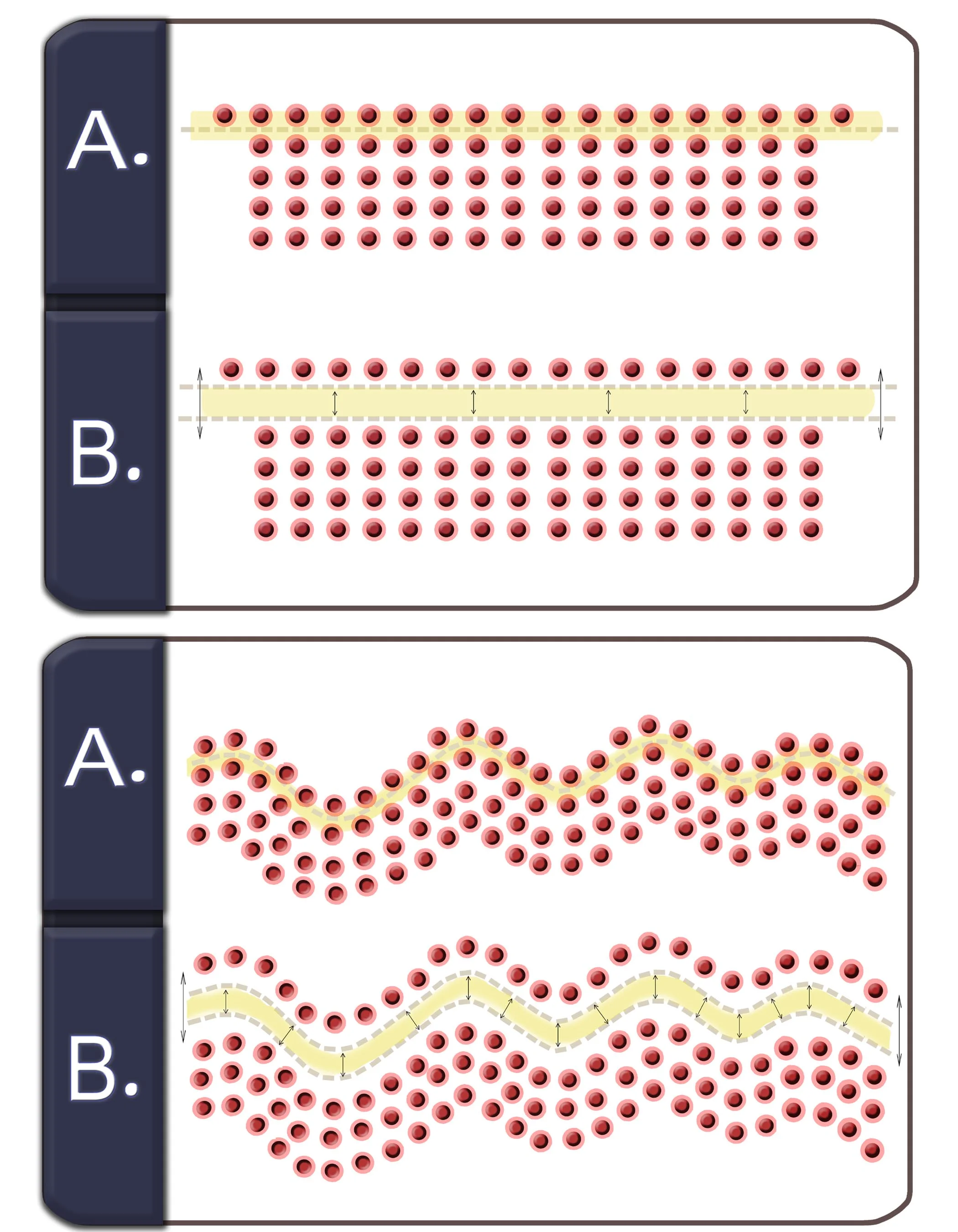 tactile spacing.jpg