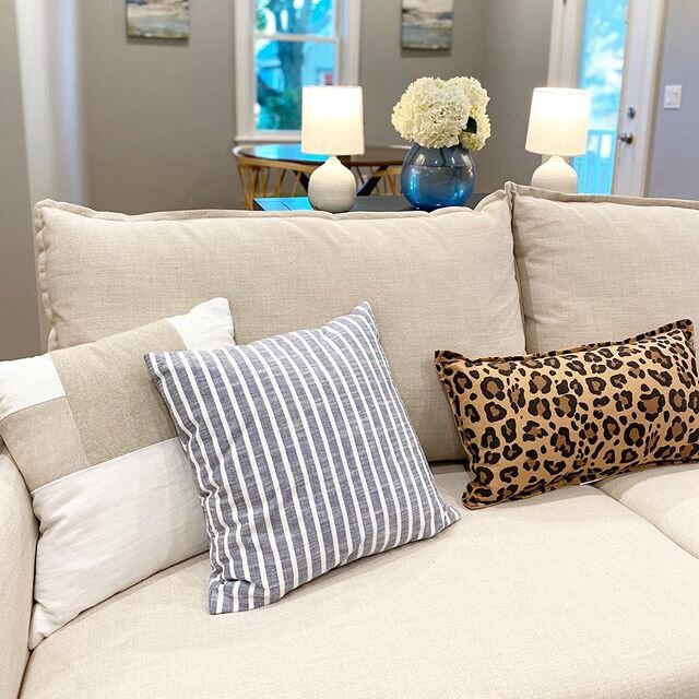 Always on the PROWL for new throw pillows. 🐆🐆🐆