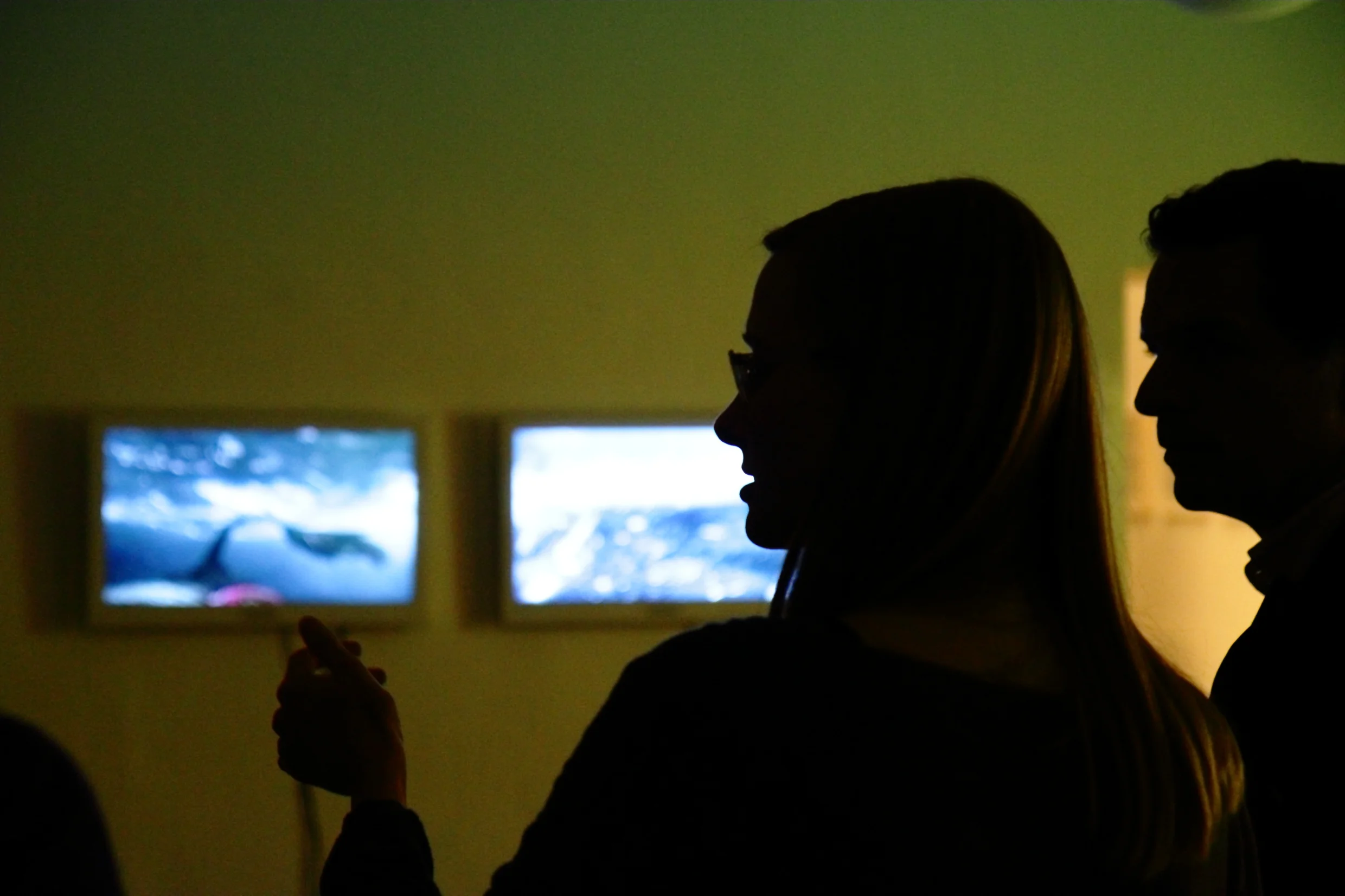  Opening&nbsp;/ Photo (c) peer to space 