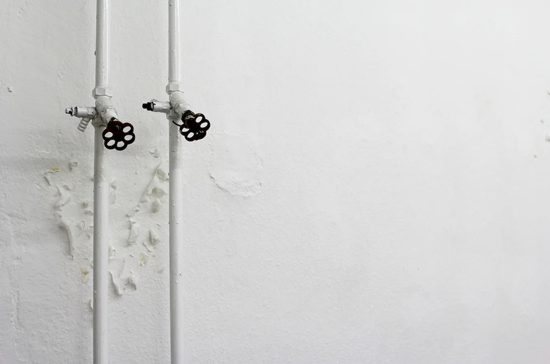 Prajakta Potnis, Membrane, 2014 / Photo (c) Marie Grafiteaux / INSITU
