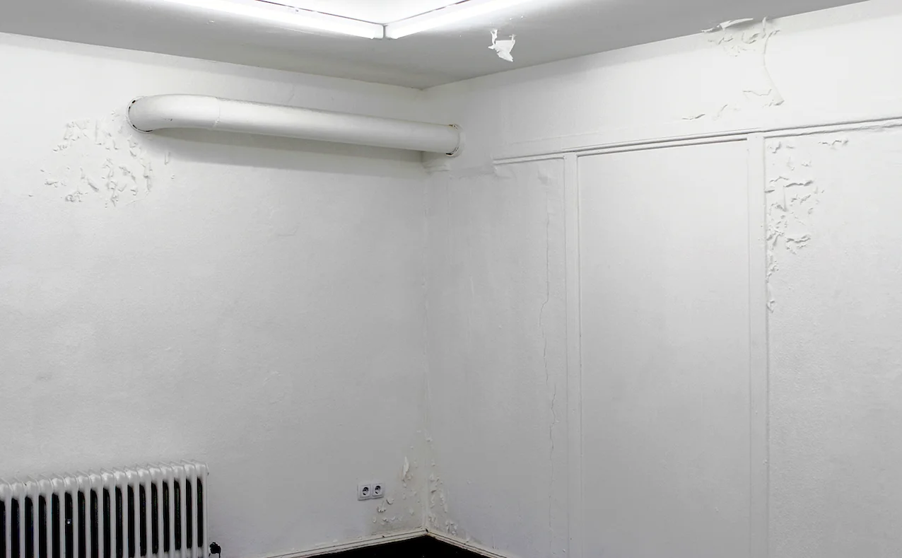 Prajakta Potnis, Membrane, 2014 / Photo (c) Alois Schörghuber