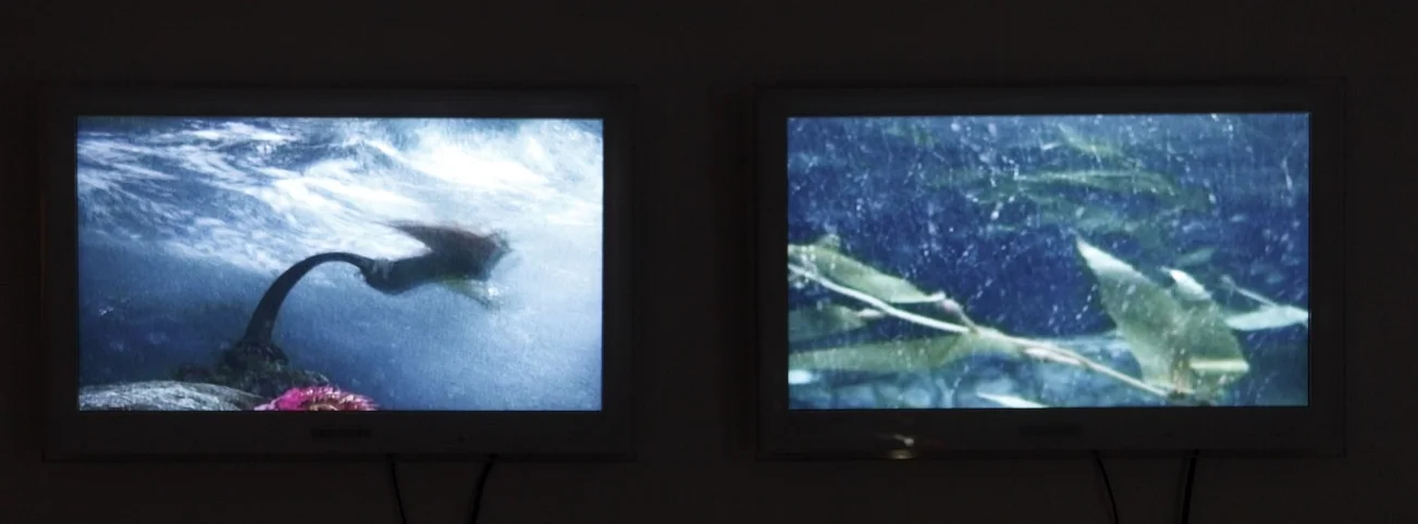  Installation view: Lindsay Lawson,&nbsp; Double Helix , double channel video and audio&nbsp;installation, loop,&nbsp;2006/2011 / Photo (c) Dirk Eisel   
 Normal.dotm 
 0 
 0 
 1 
 57 
 329 
 Privat 
 2 
 1 
 404 
 12.0 
  
  
 
       
 0 
 false 
 