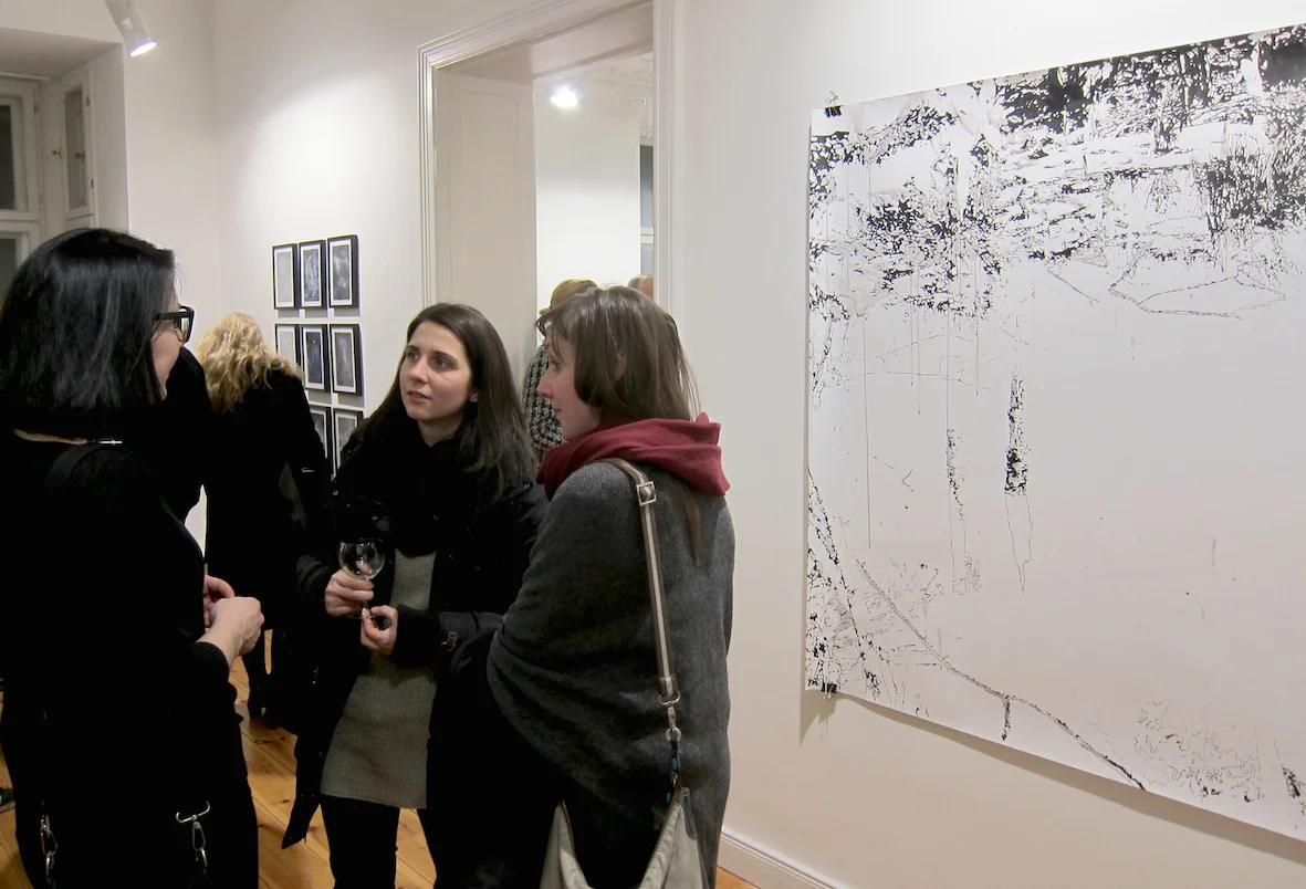 Opening - Photo (c) Robert Banovic