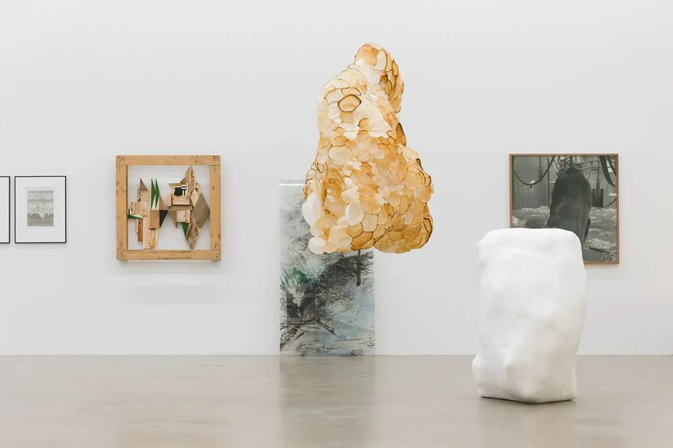 Works by Julia Herfurth, Hannah Parr, Carla Mercedes Hihn, Eliana Heredia, Ines Lechleitner / Photo (c) Marcus Schneider