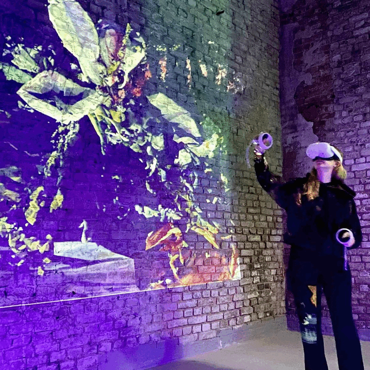 GIF SEED SYSTEMS.gif