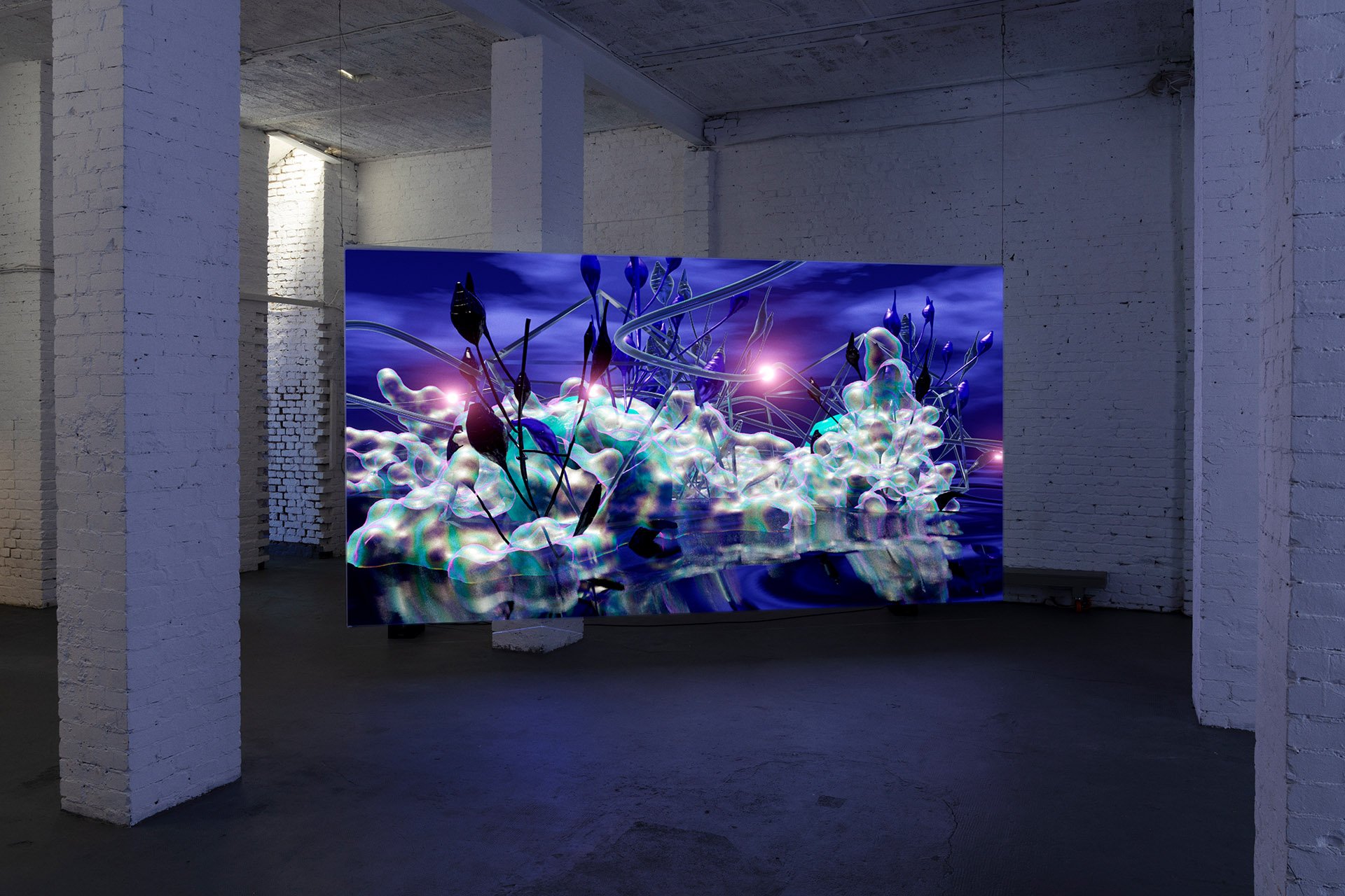 WDTROTWB_Symbiosis-©MaxZerrahn-08204-web.jpg