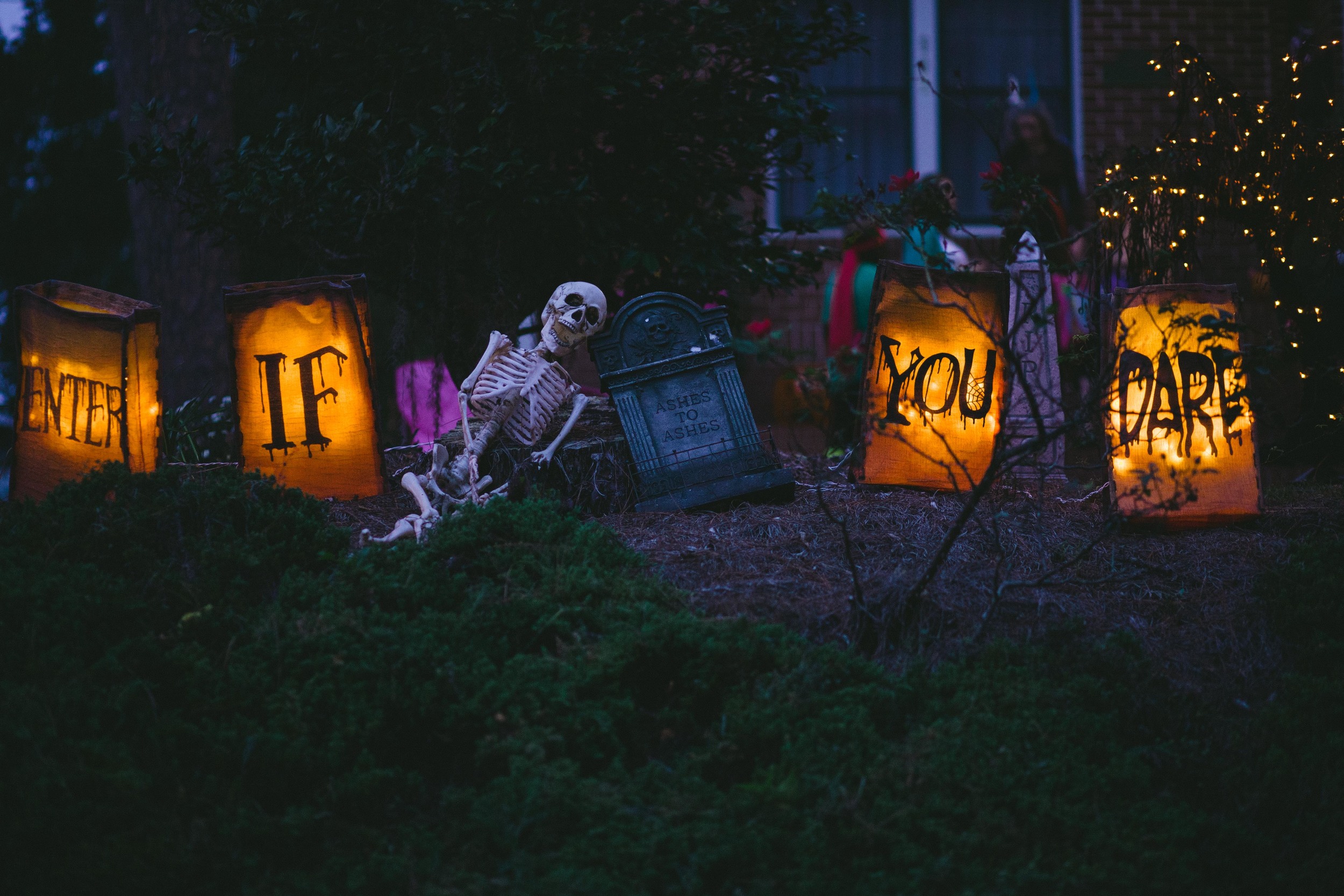 tallahassee-photography-halloween-8809.jpg