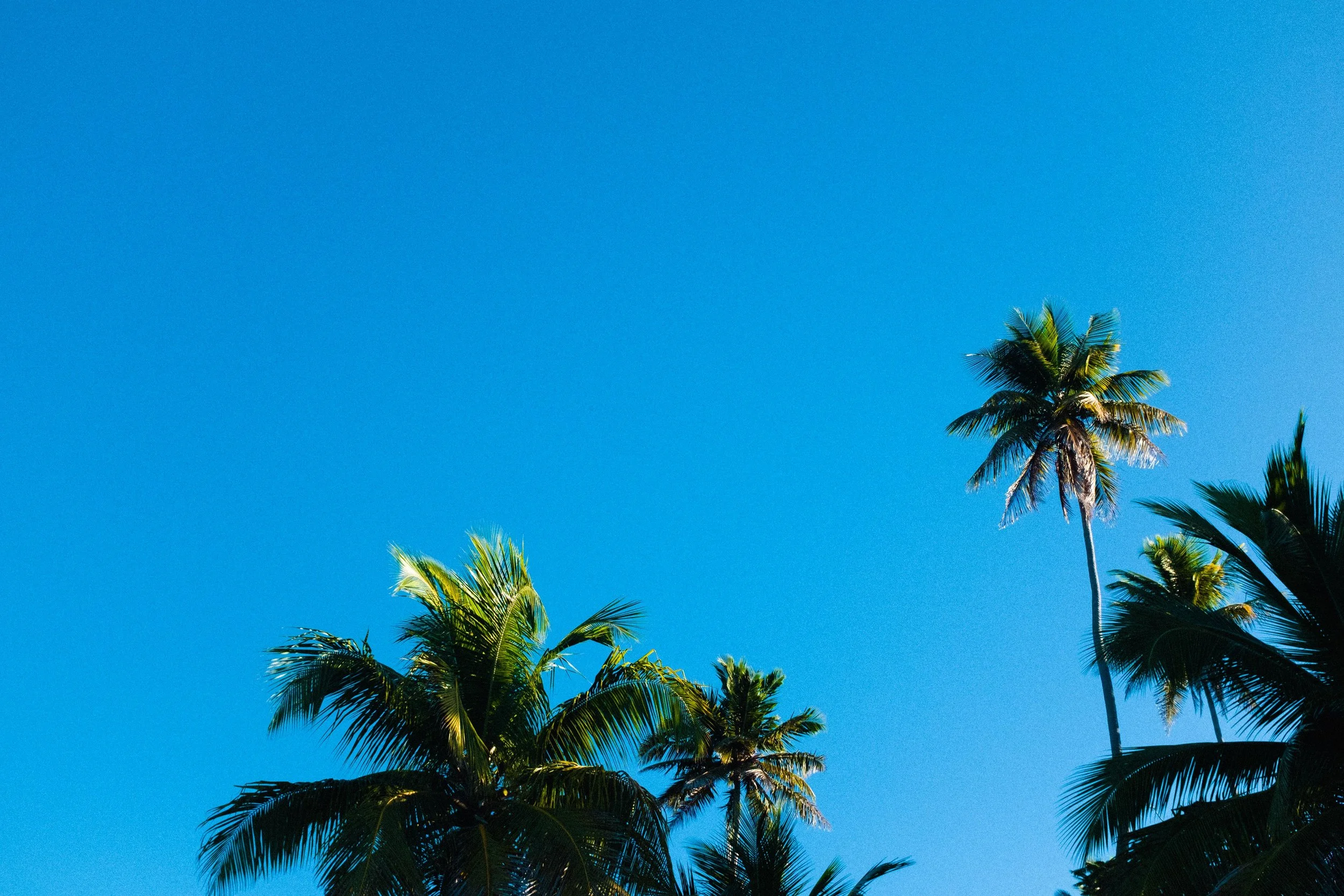 puerto-rico-rincon-7311.jpg