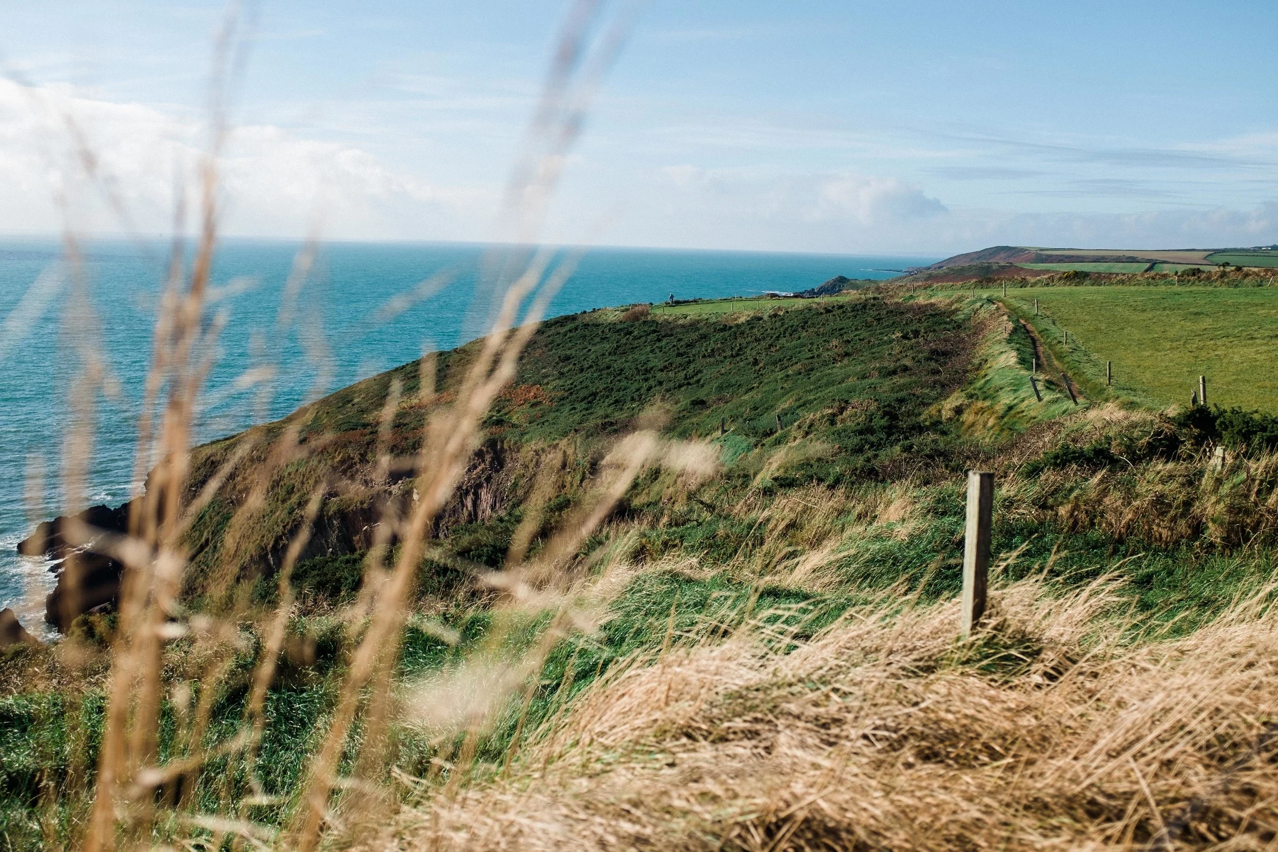 ballycotton-ireland-cliff-walk-5971.jpg