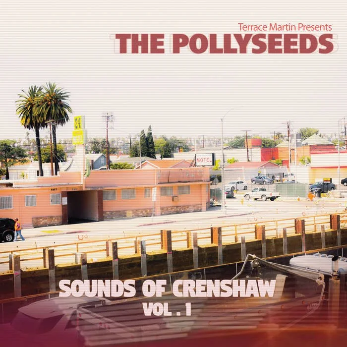 pollyseeds.jpg